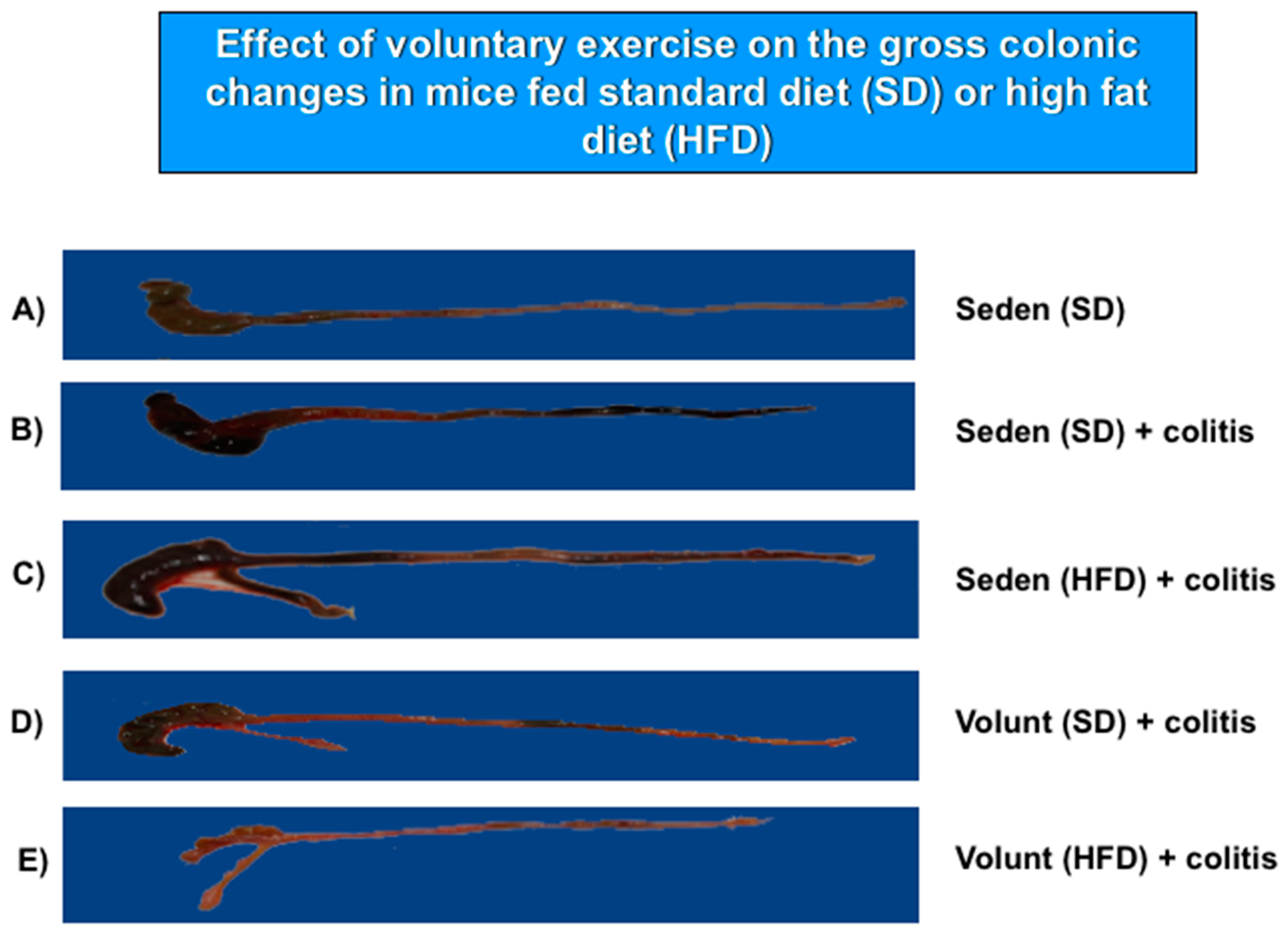 Nutrients 09 00410 g005