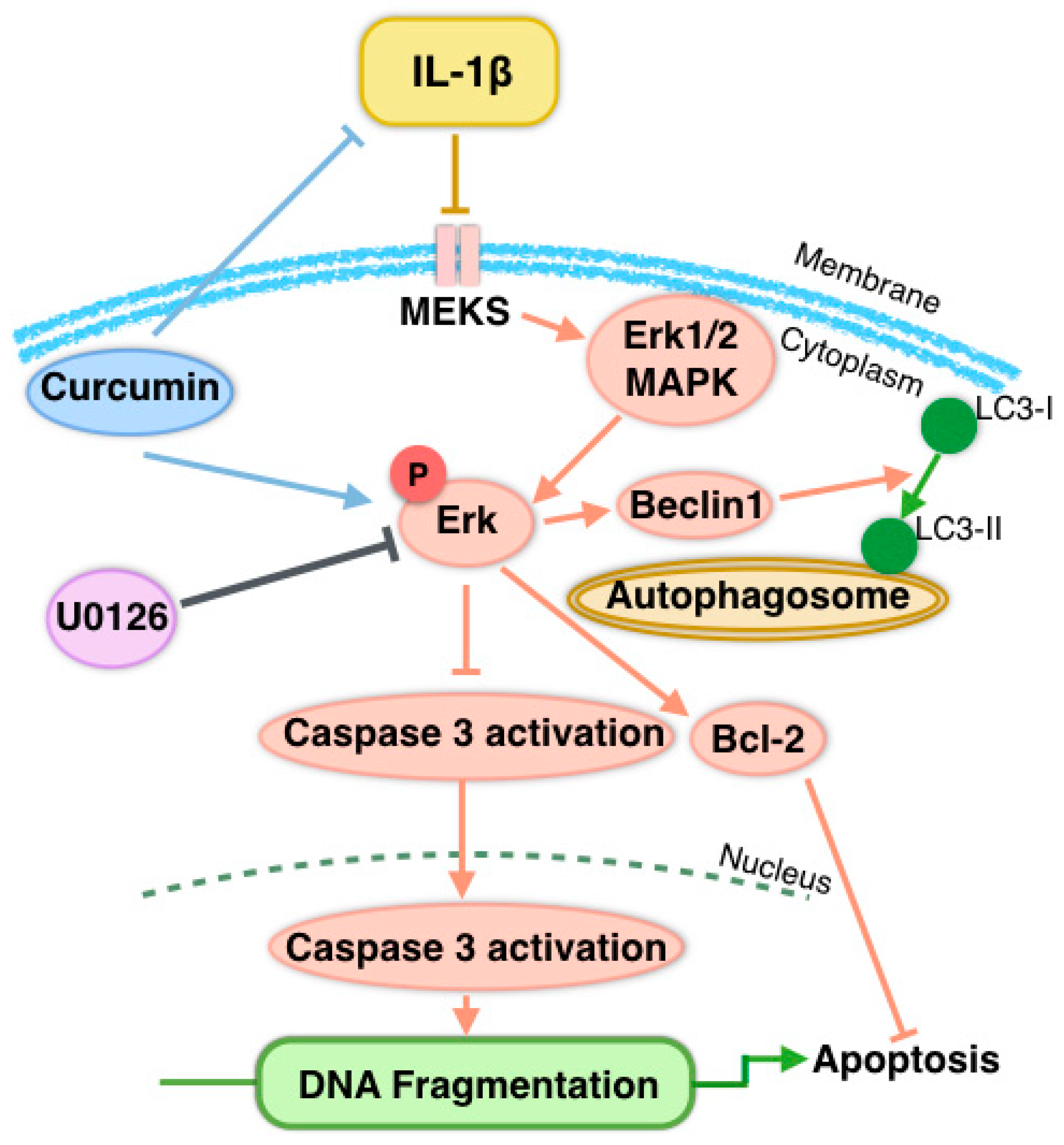 Nutrients 09 00414 g007