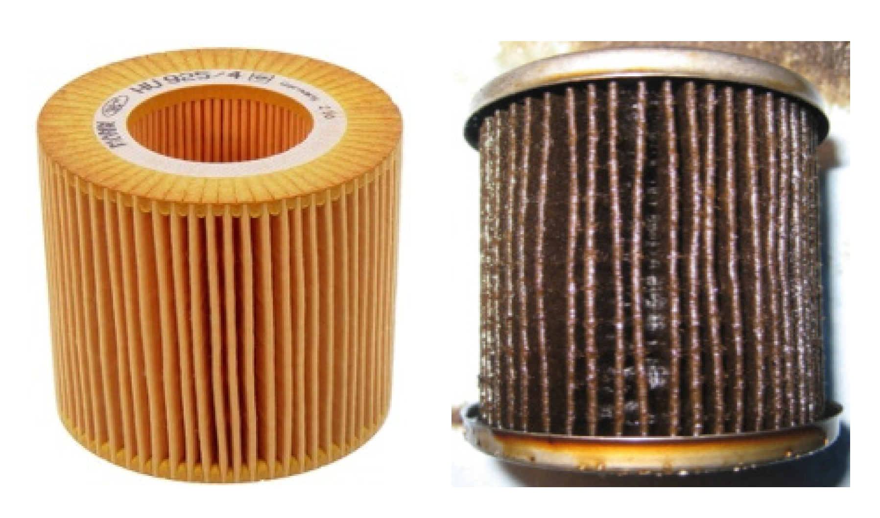 Nutrients 09 00435 g003