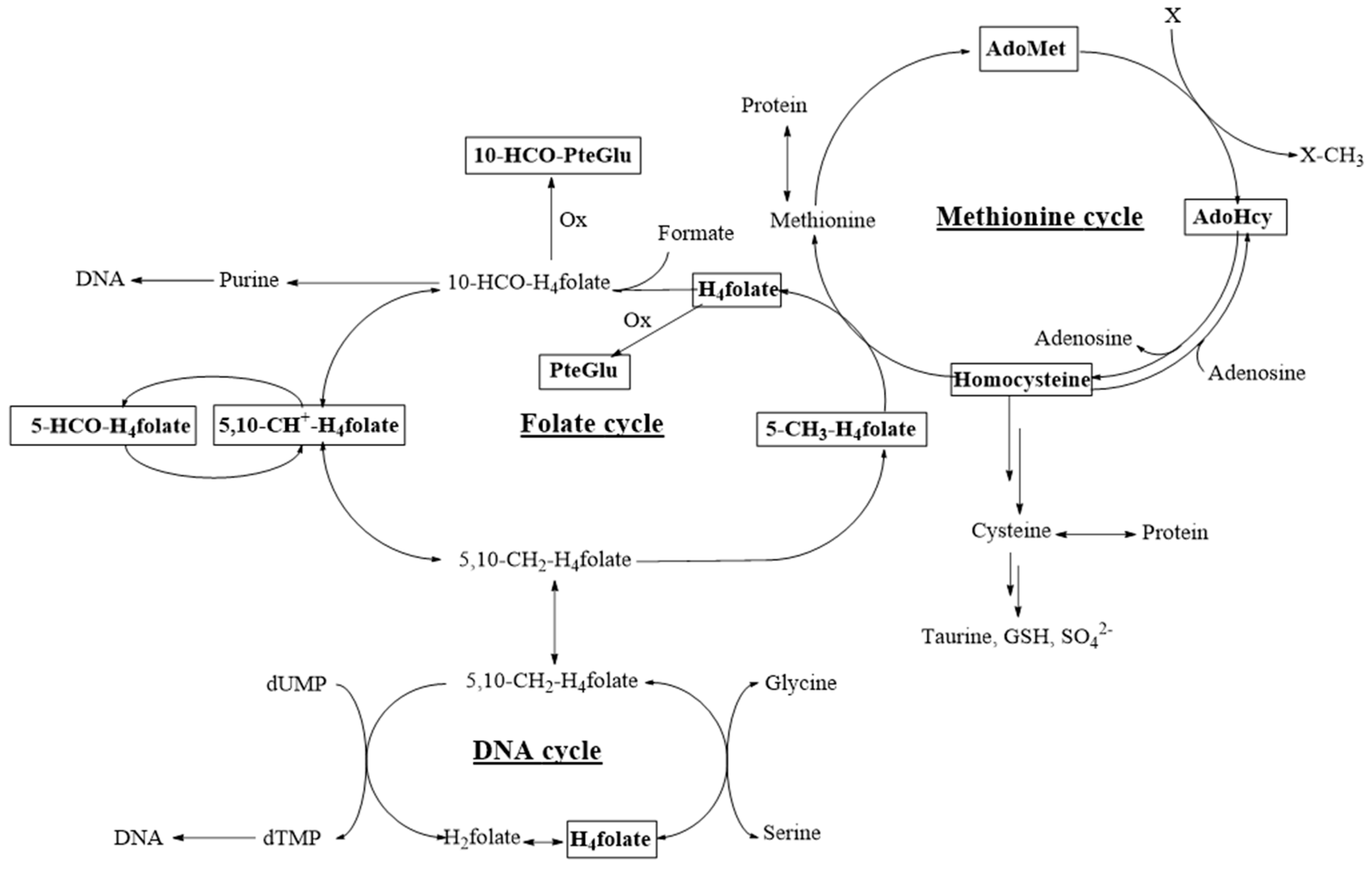 Nutrients 09 00462 g001