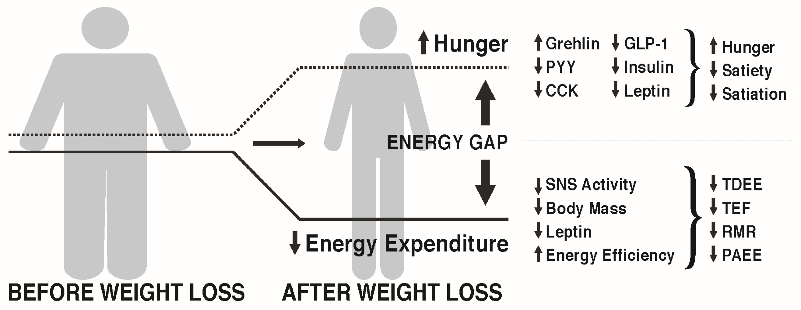Nutrients 09 00468 g001