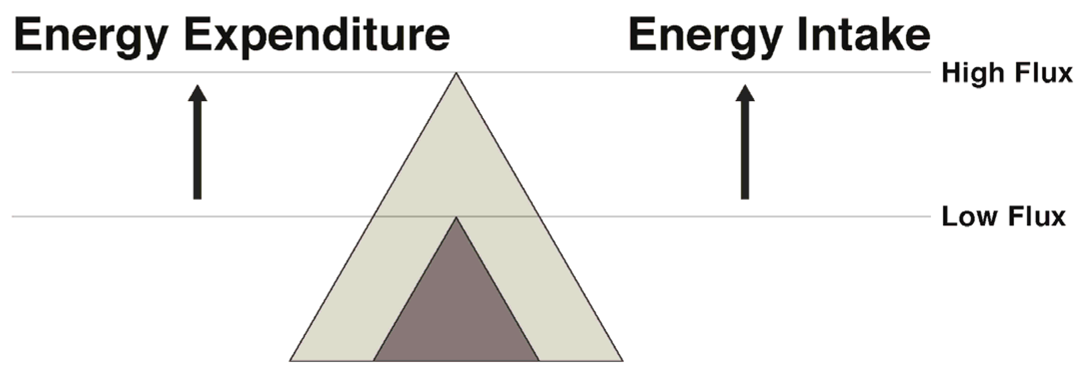 Nutrients 09 00468 g003
