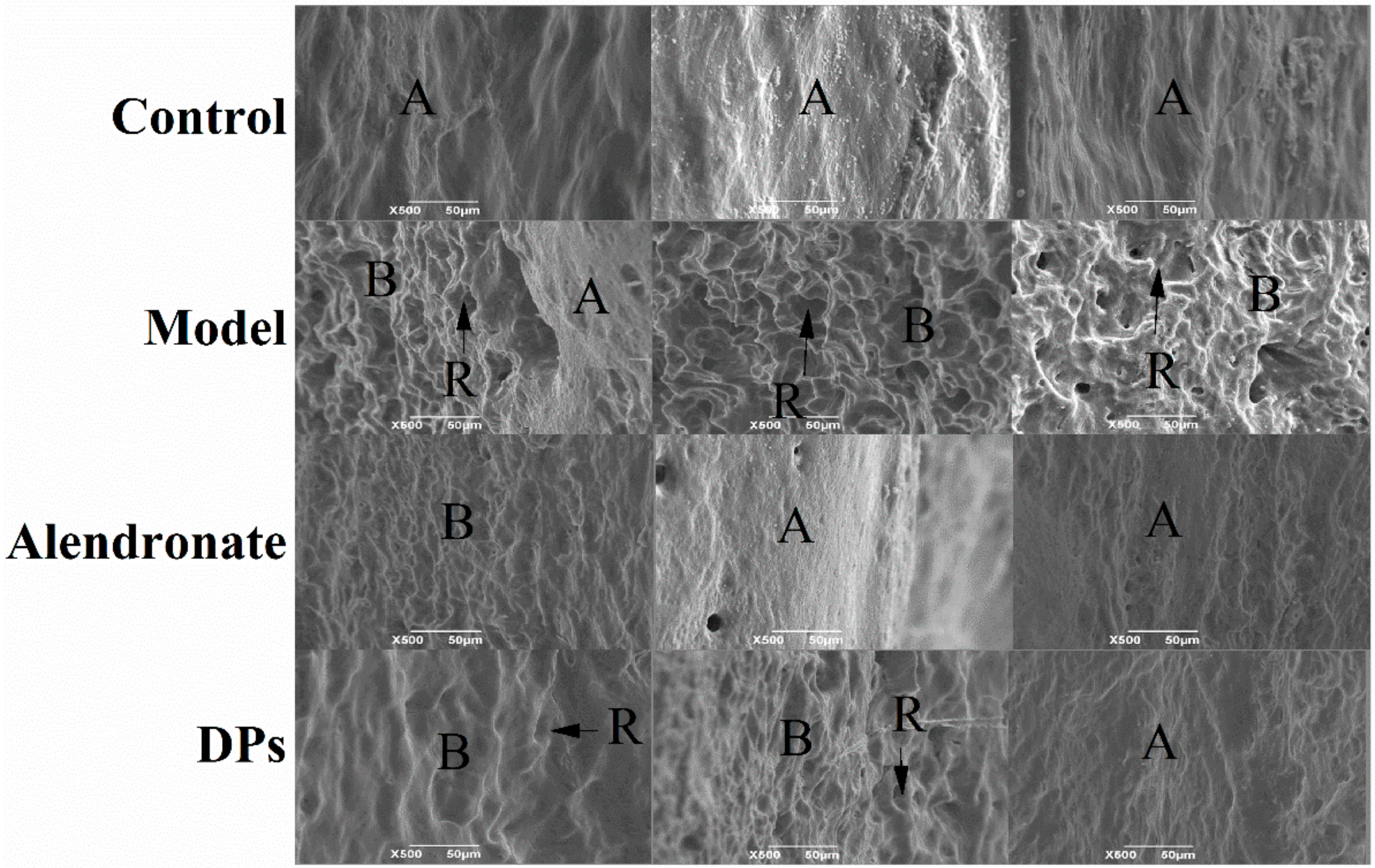 Nutrients 09 00490 g005