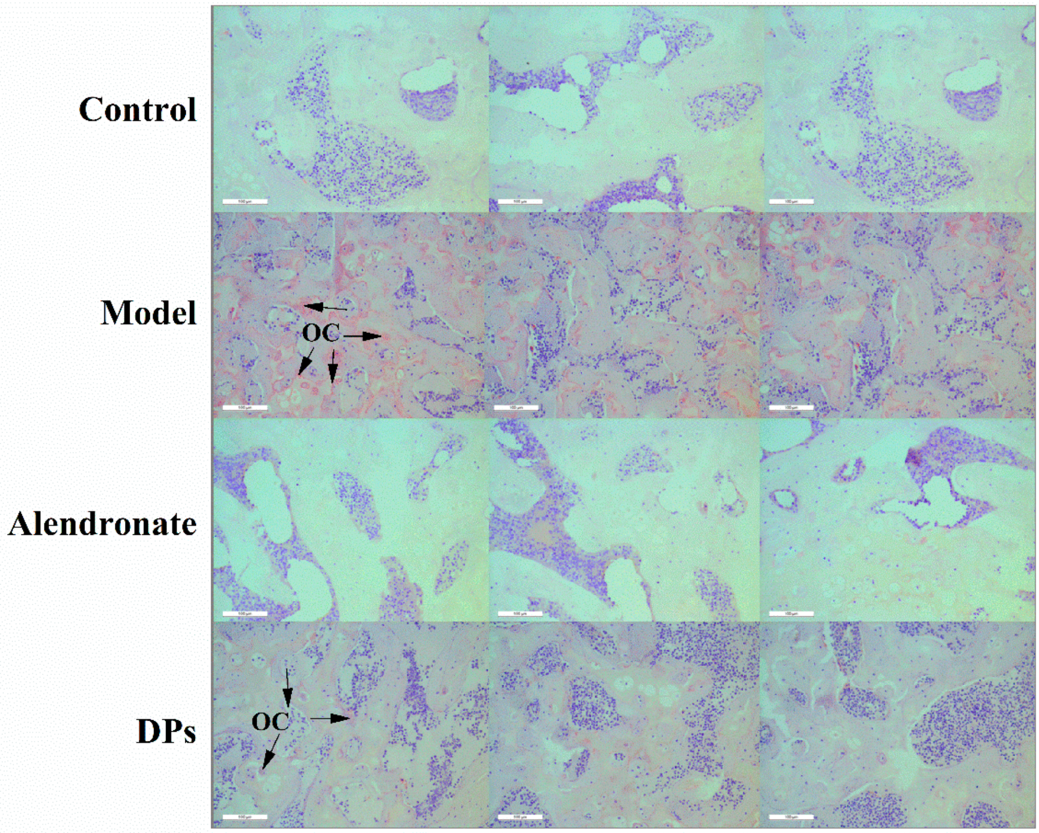 Nutrients 09 00490 g006