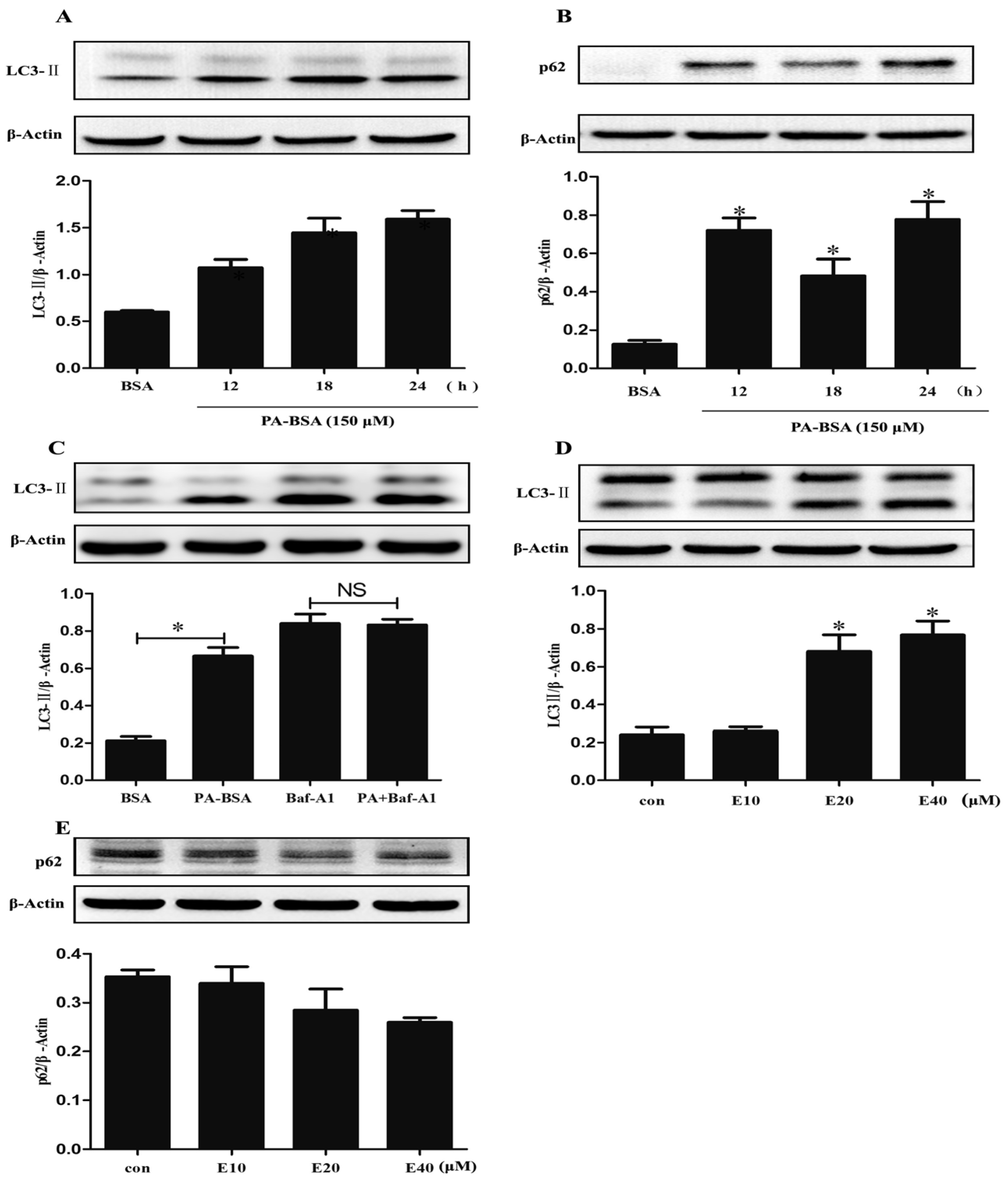 Nutrients 09 00497 g004