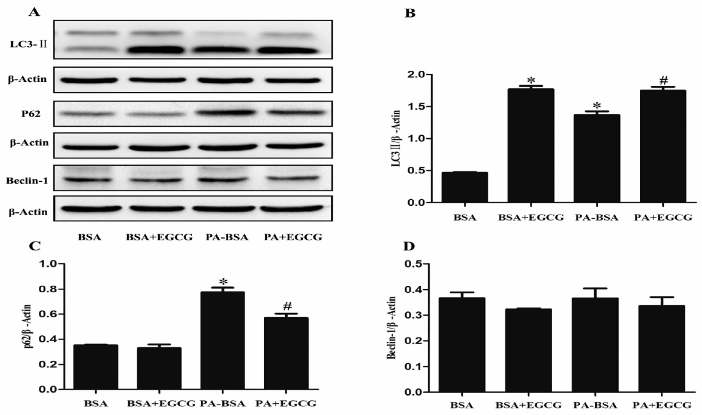 Nutrients 09 00497 g005