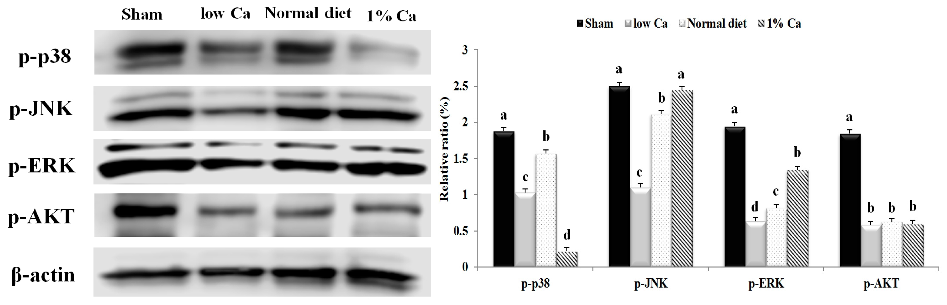 Nutrients 09 00504 g007