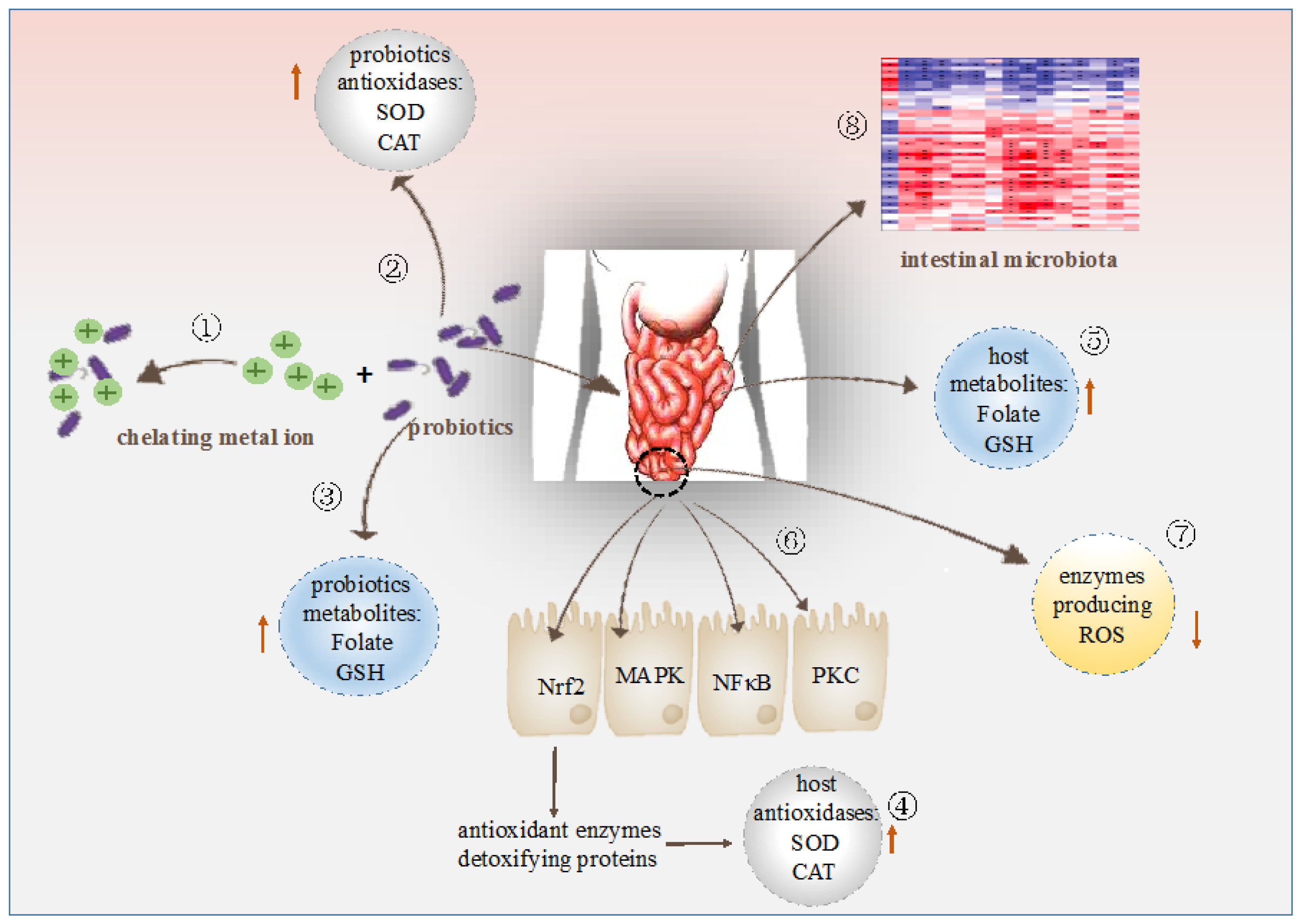 Nutrients 09 00521 g002