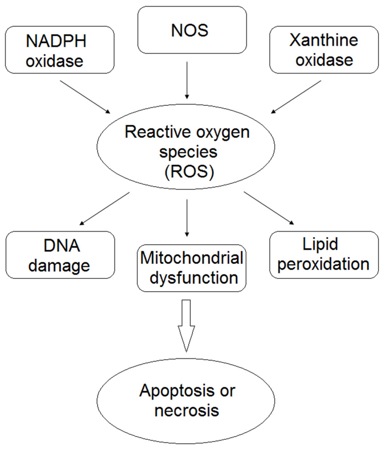 Nutrients 09 00523 g001