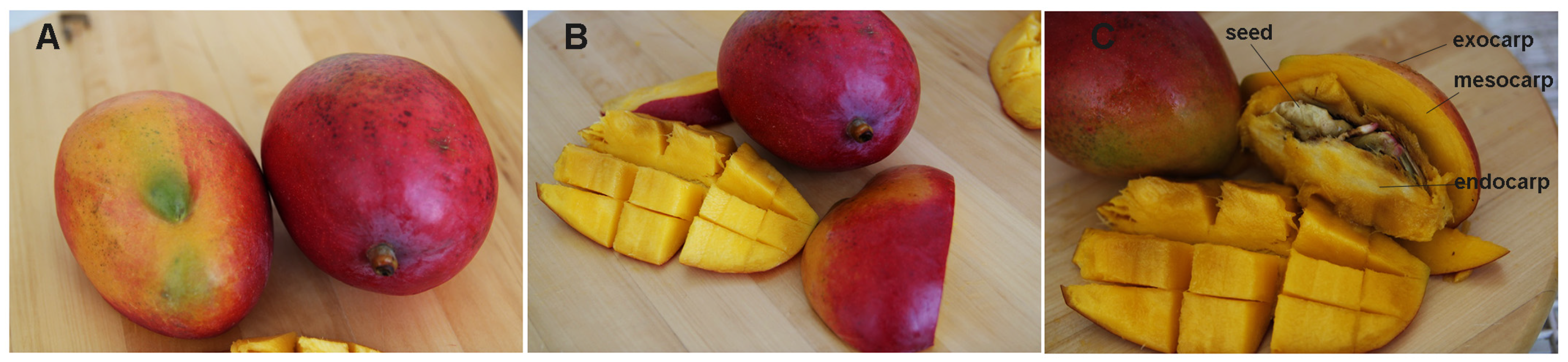 Nutrients 09 00525 g001
