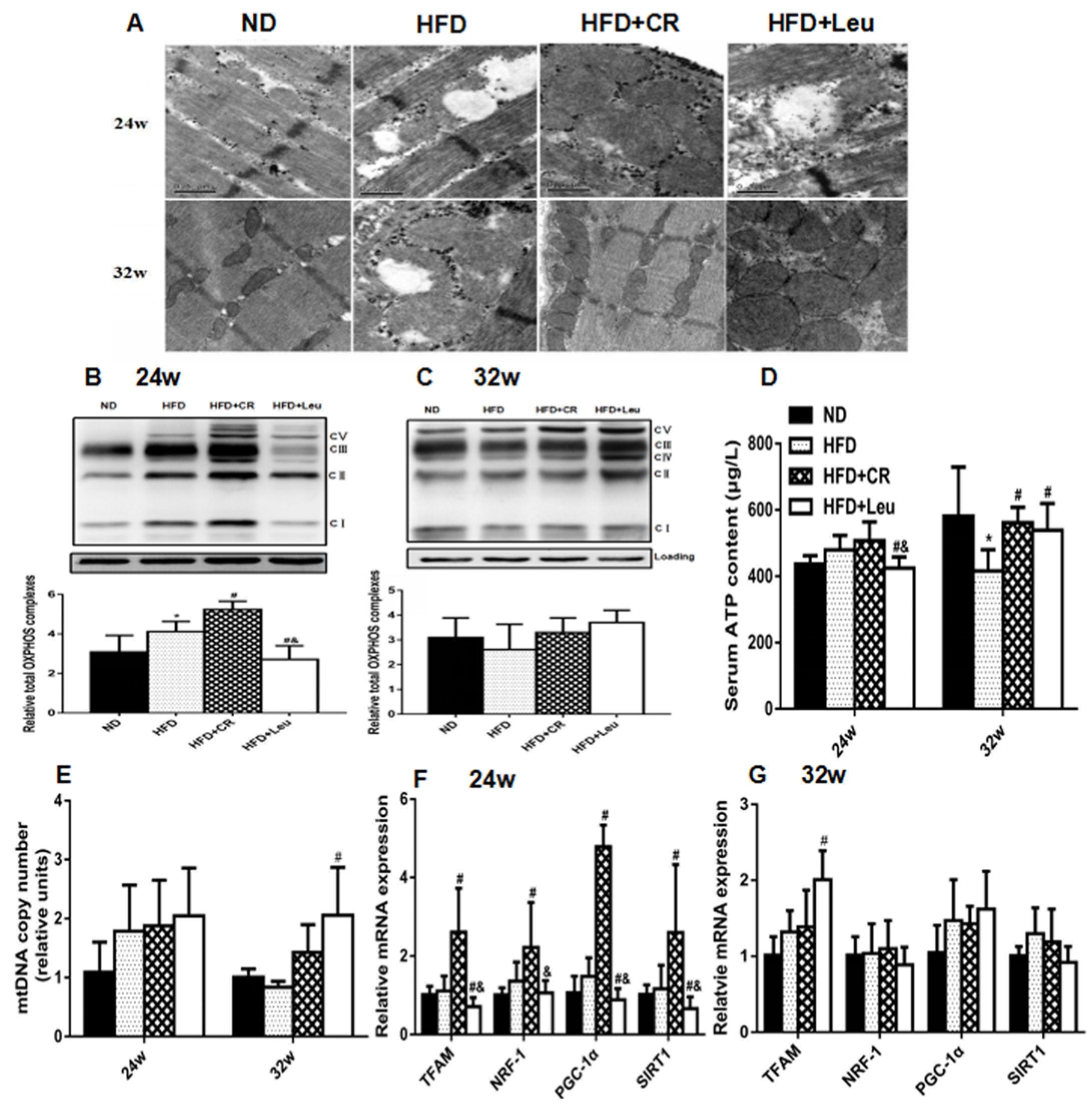Nutrients 09 00565 g005