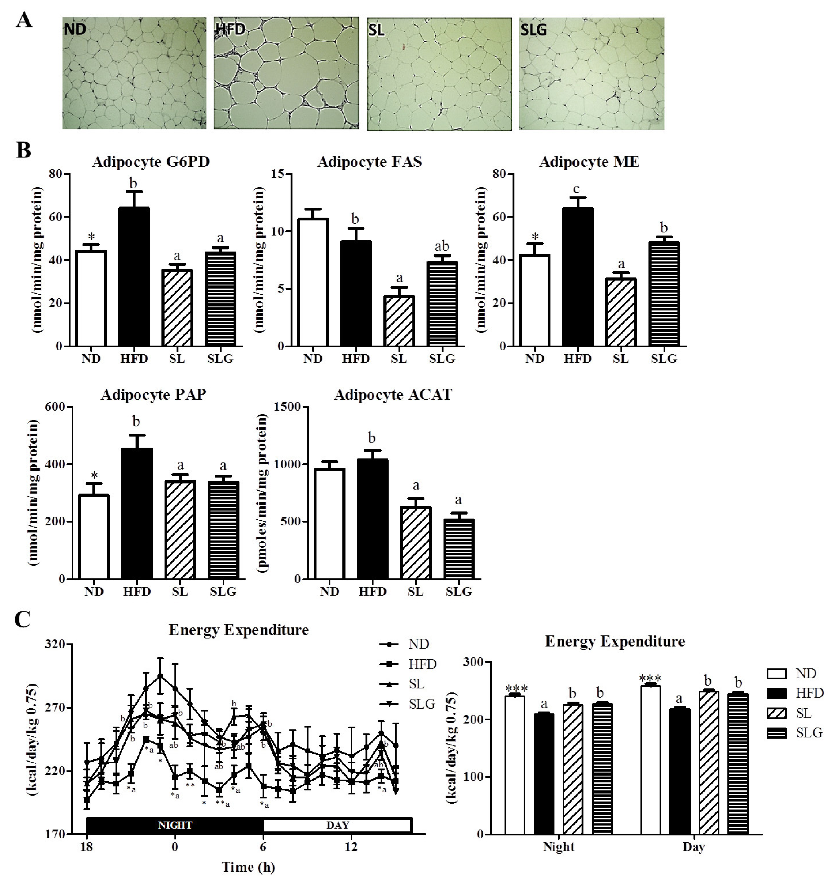 Nutrients 09 00569 g002