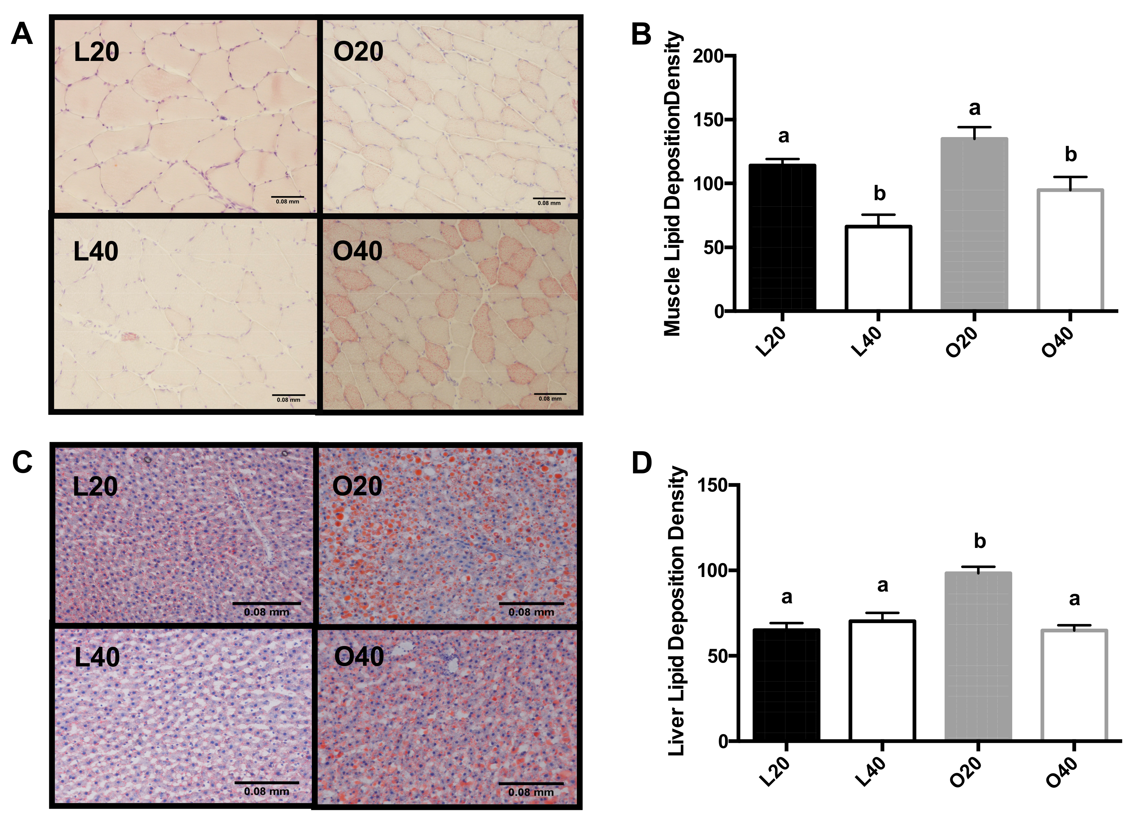 Nutrients 09 00587 g004