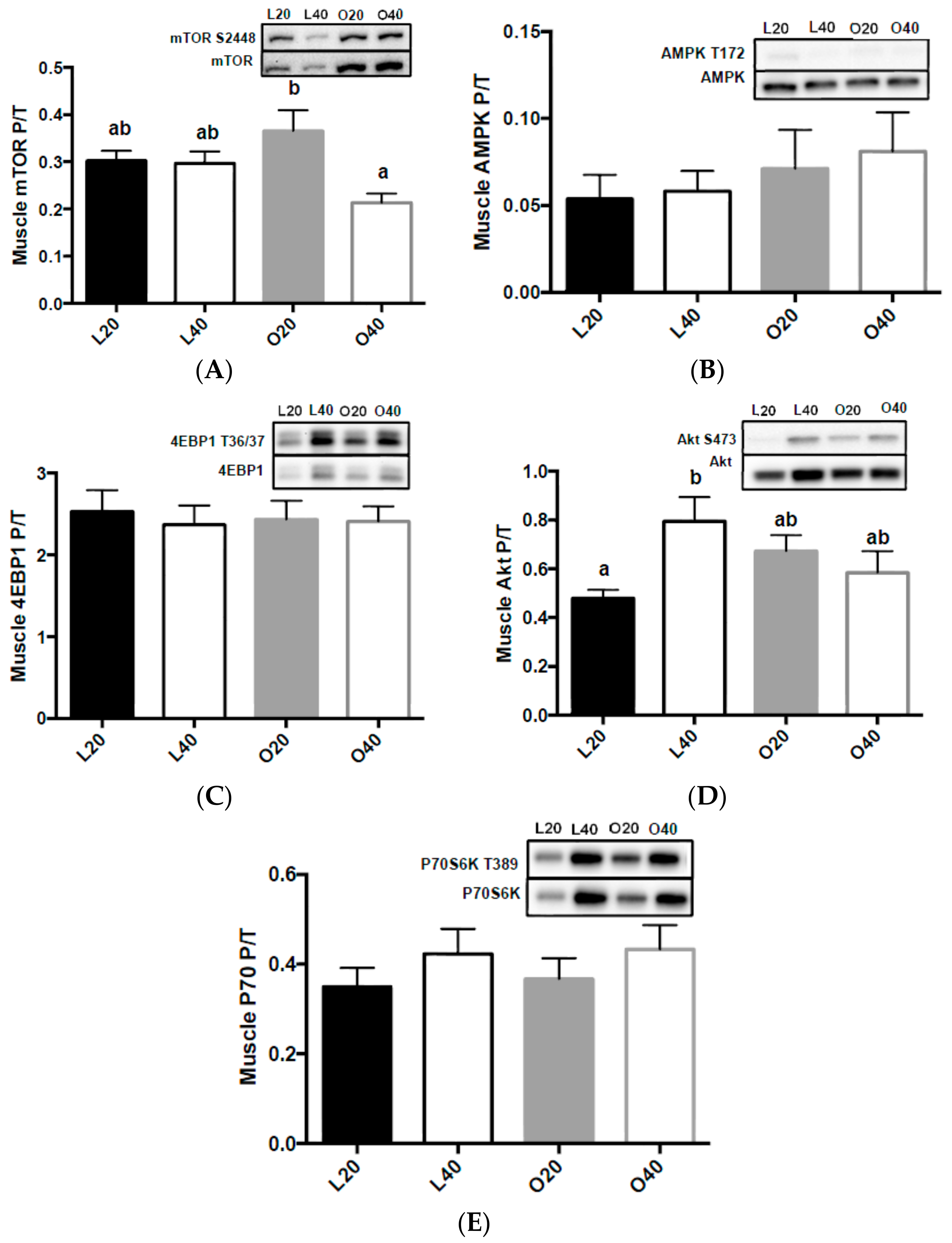 Nutrients 09 00587 g005