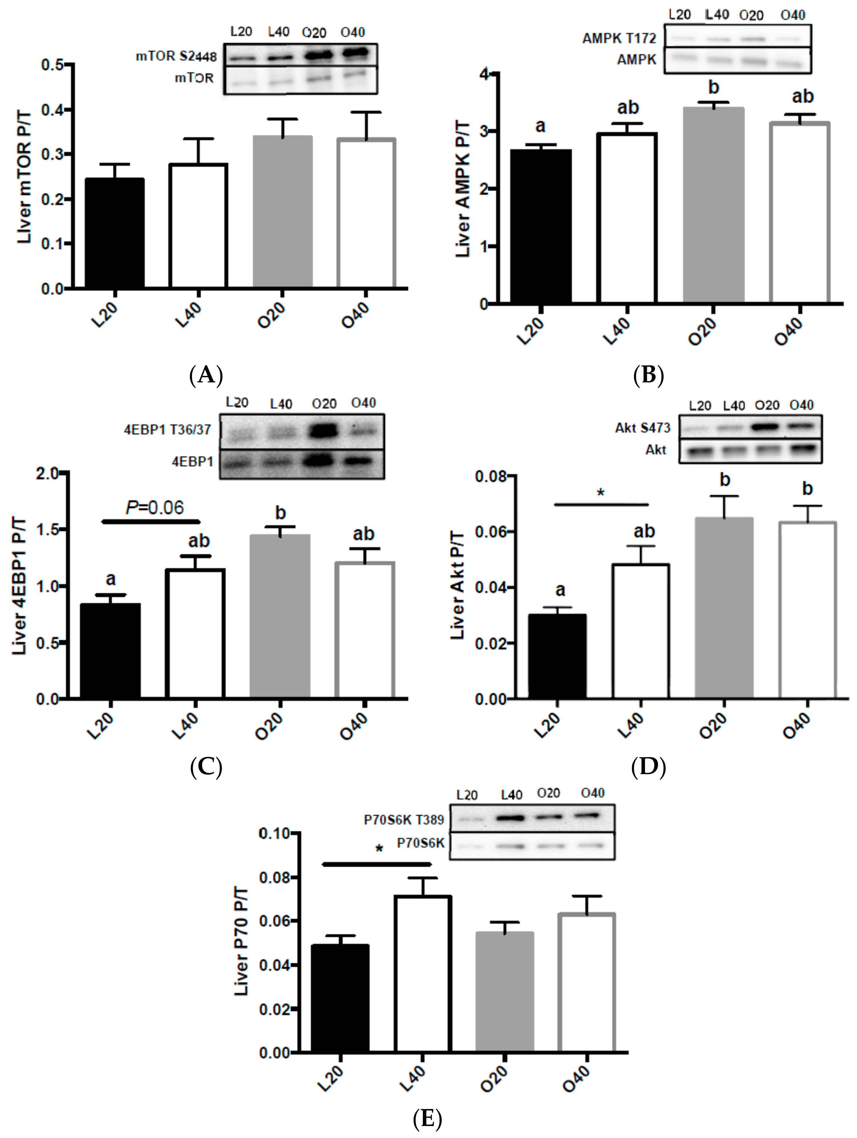 Nutrients 09 00587 g006