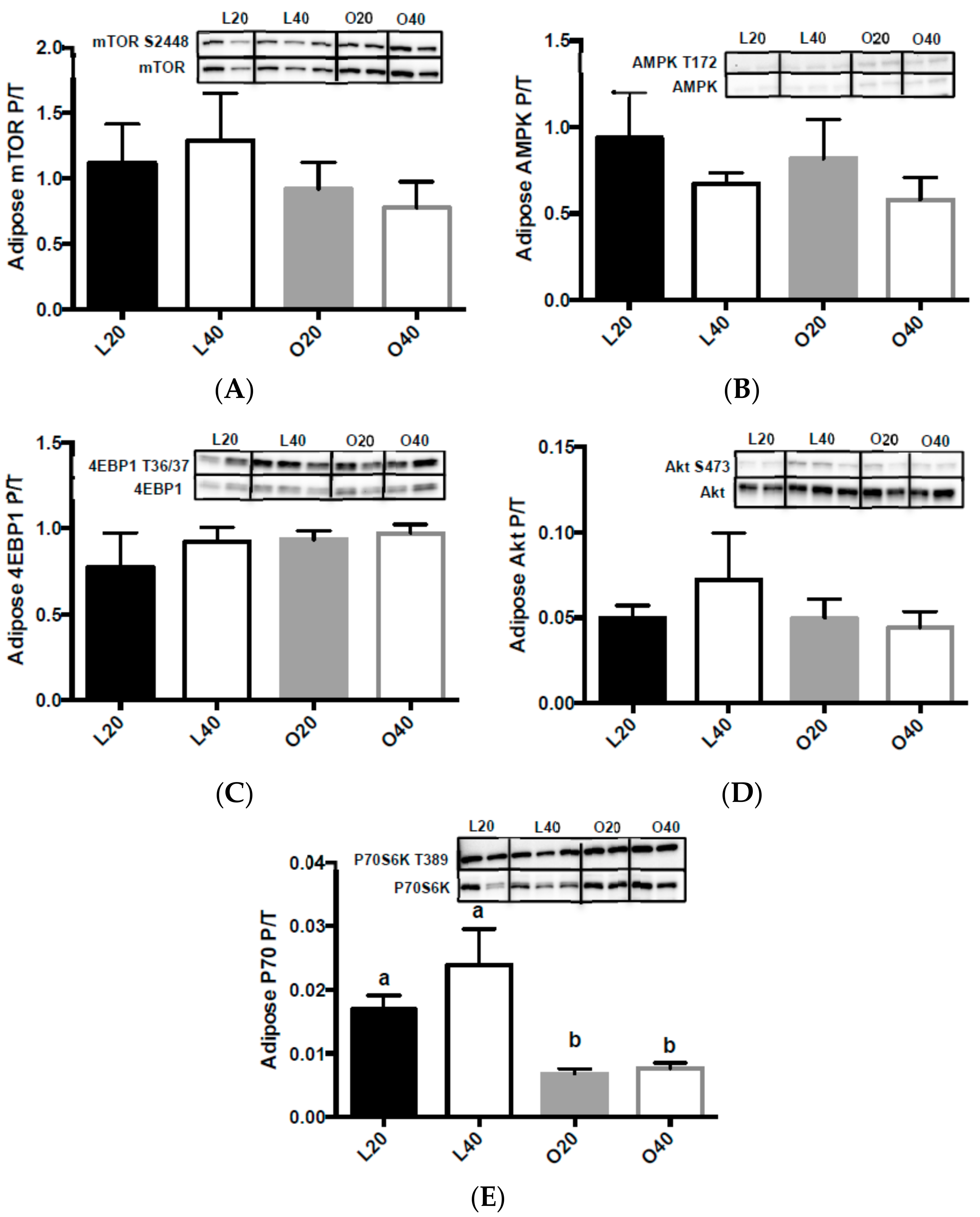Nutrients 09 00587 g007