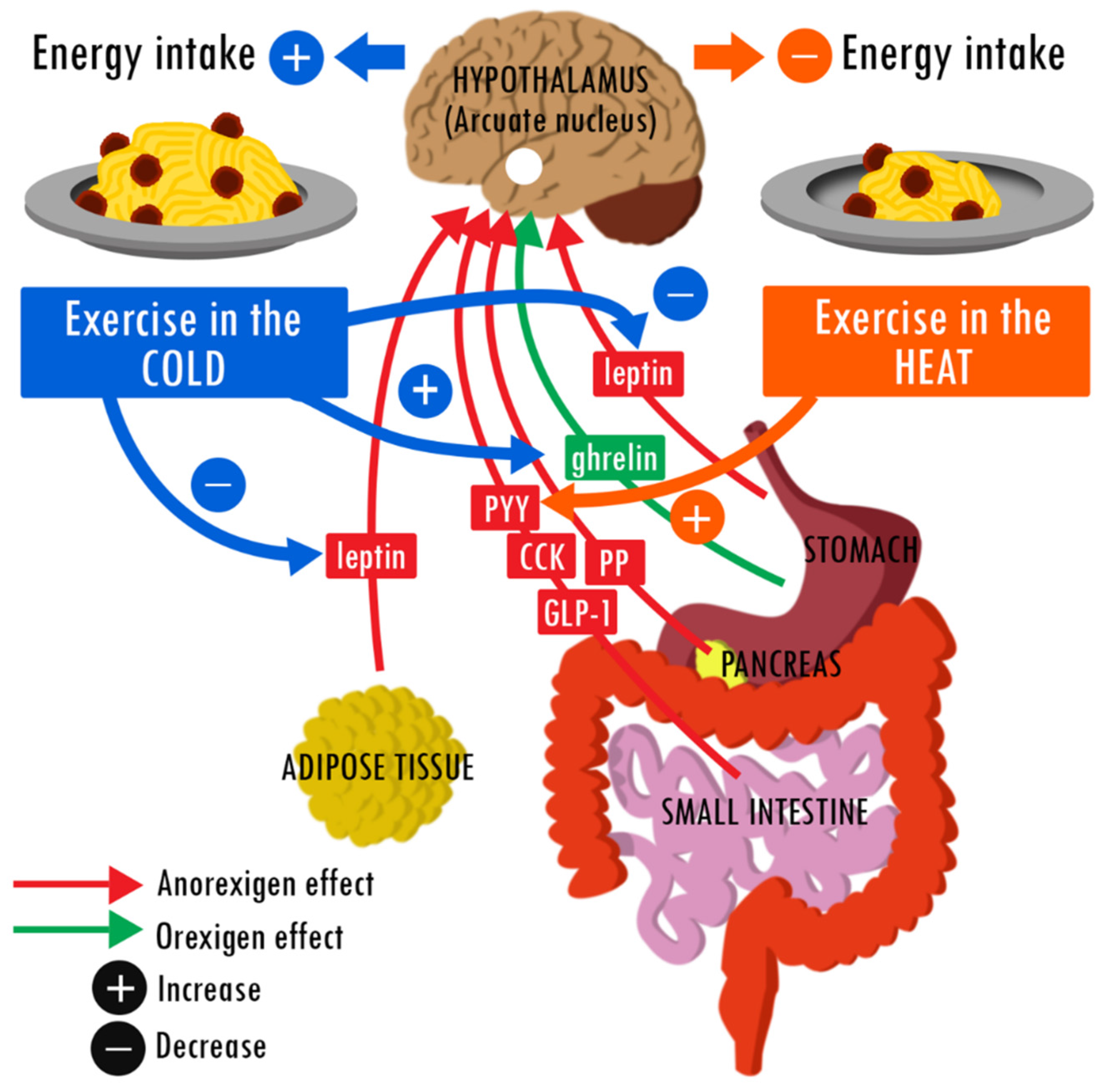 Nutrients 09 00592 g001