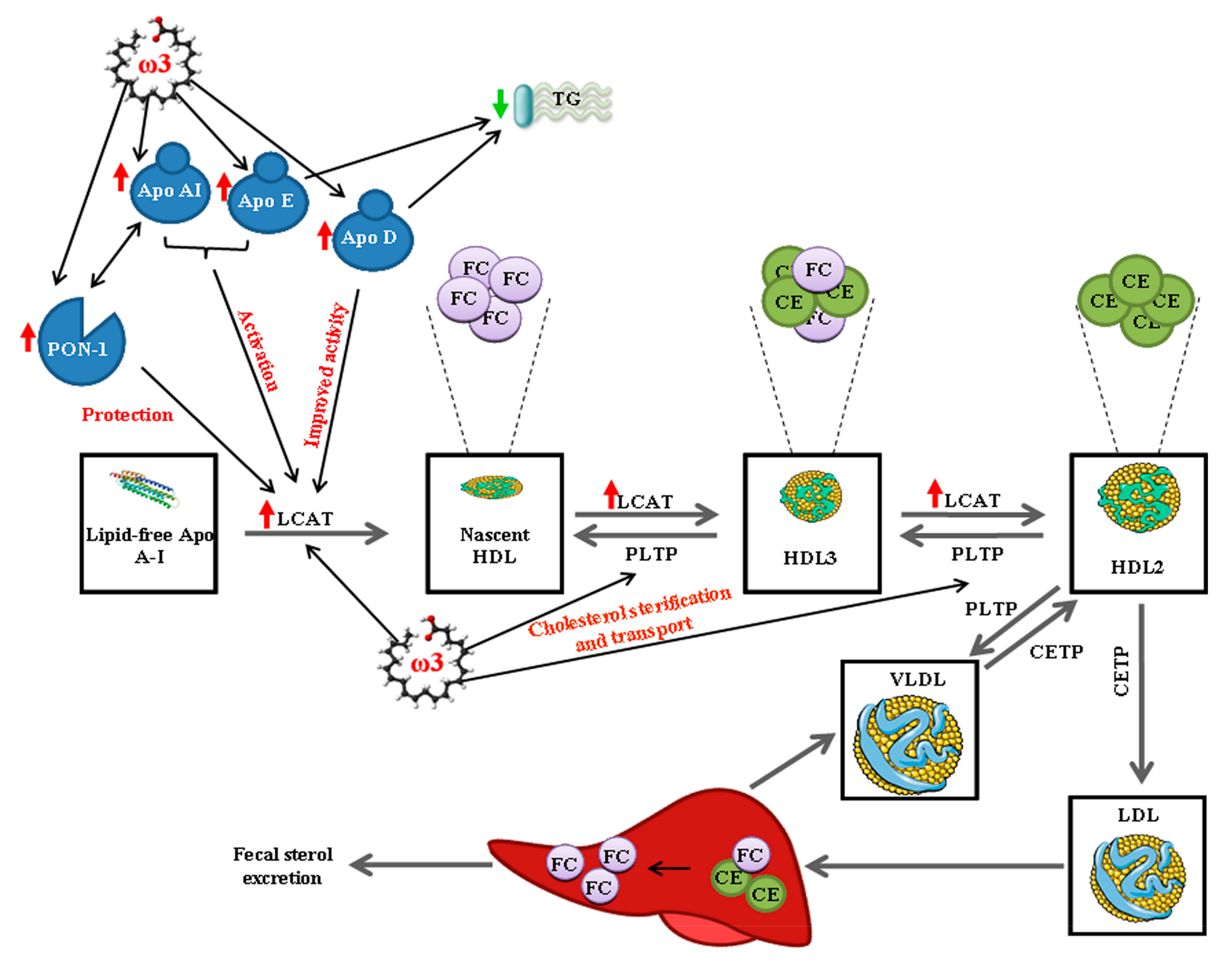 Nutrients 09 00599 g007