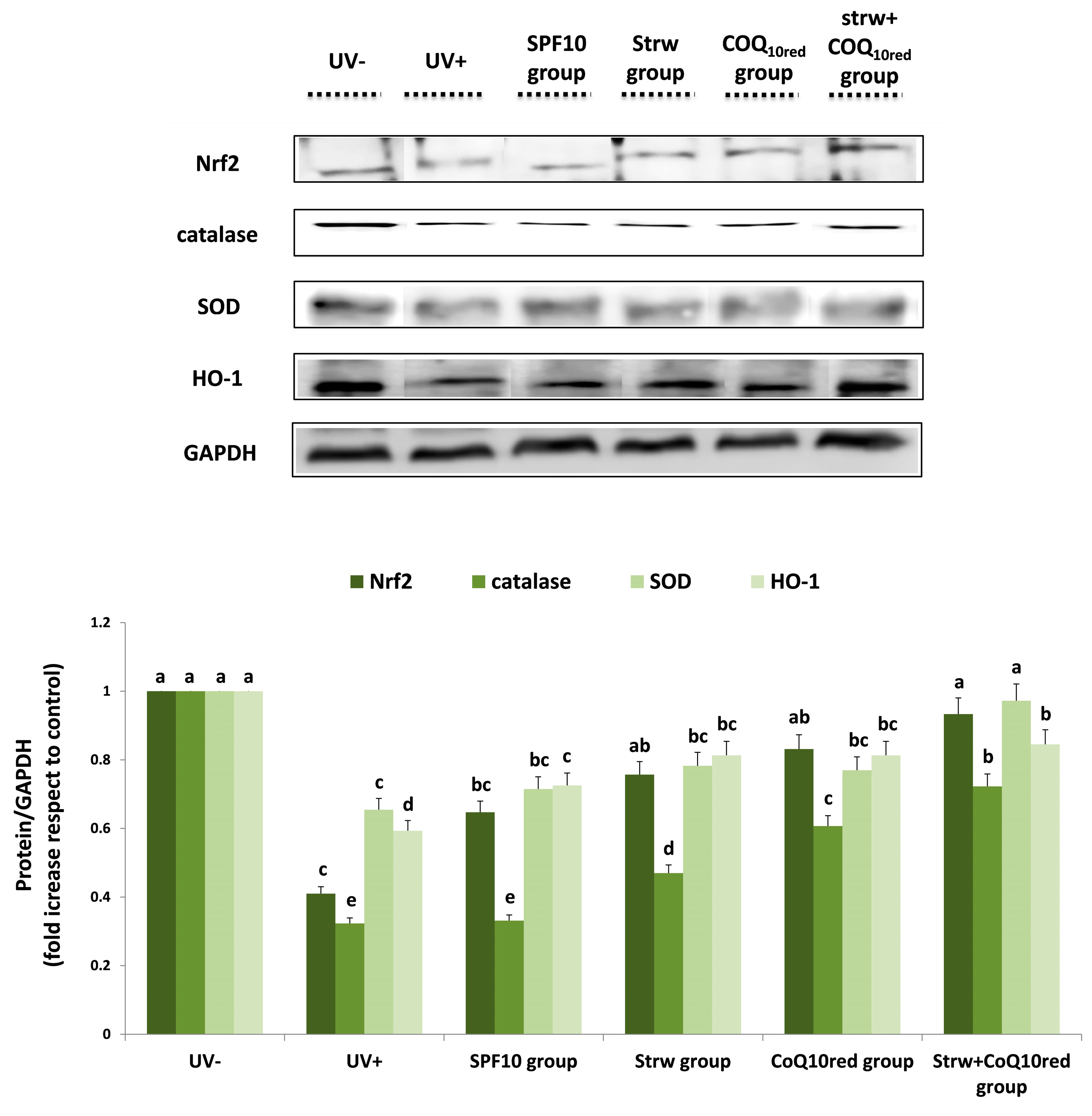Nutrients 09 00605 g008