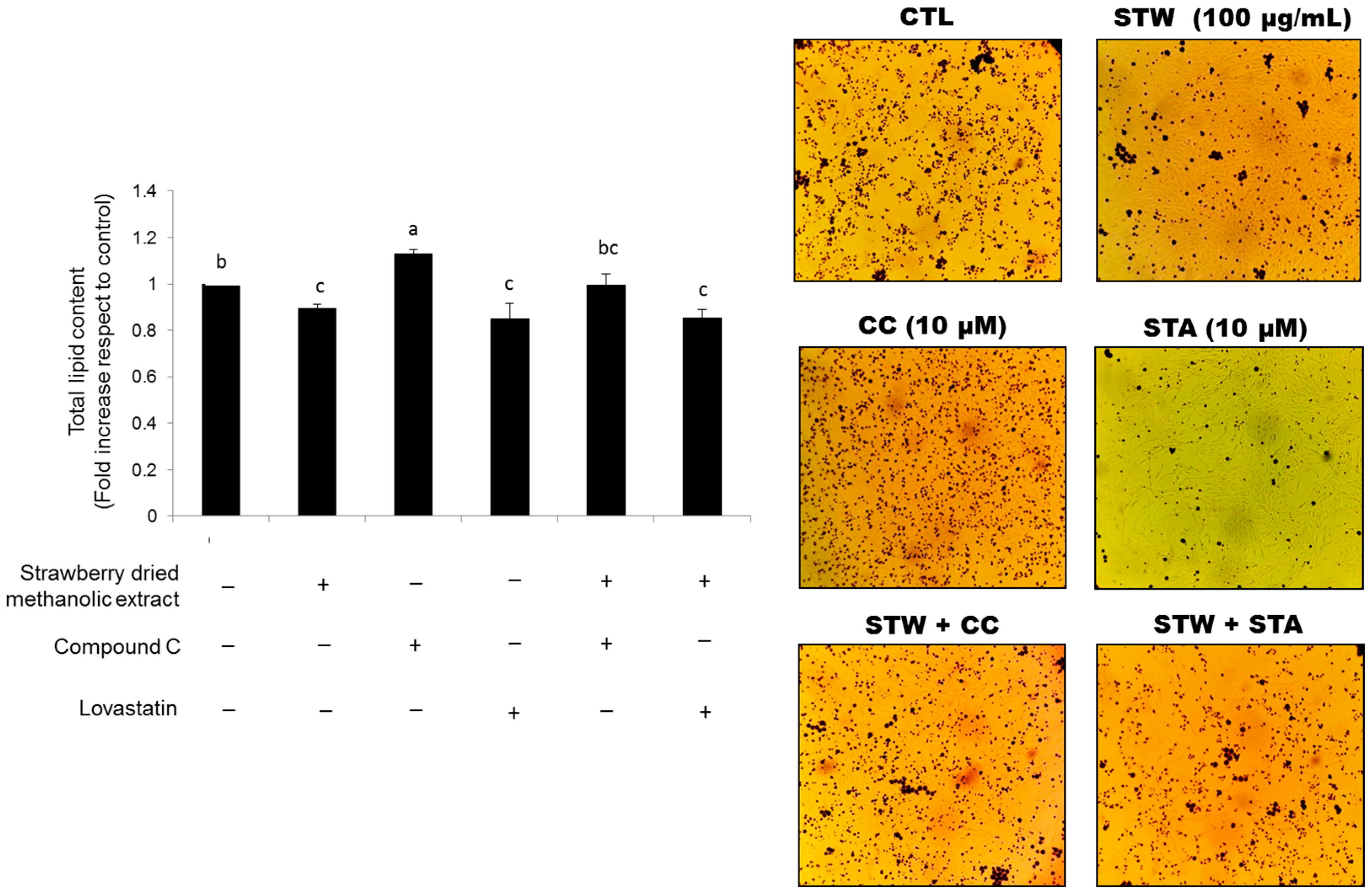 Nutrients 09 00621 g008