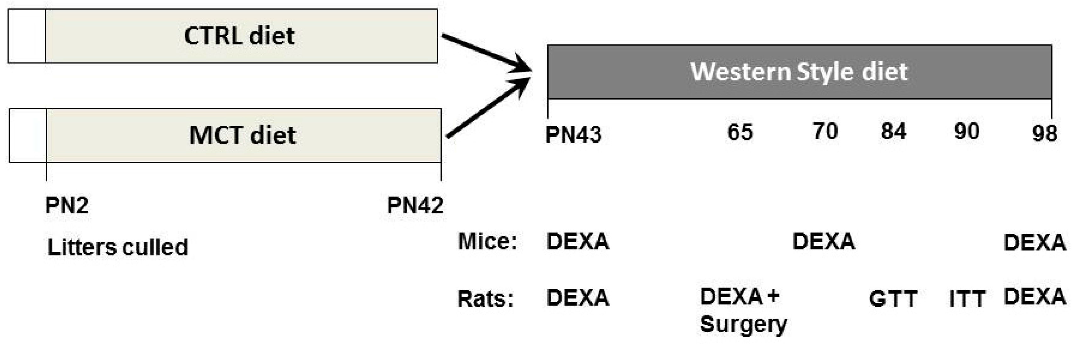 Nutrients 09 00631 g001