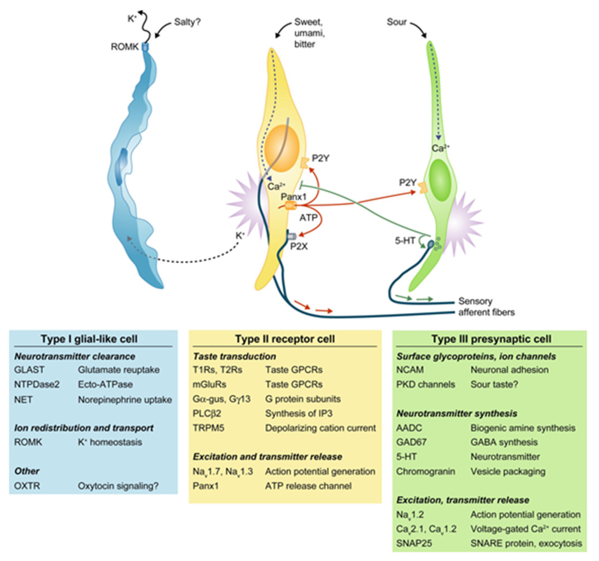 Nutrients 09 00653 g001