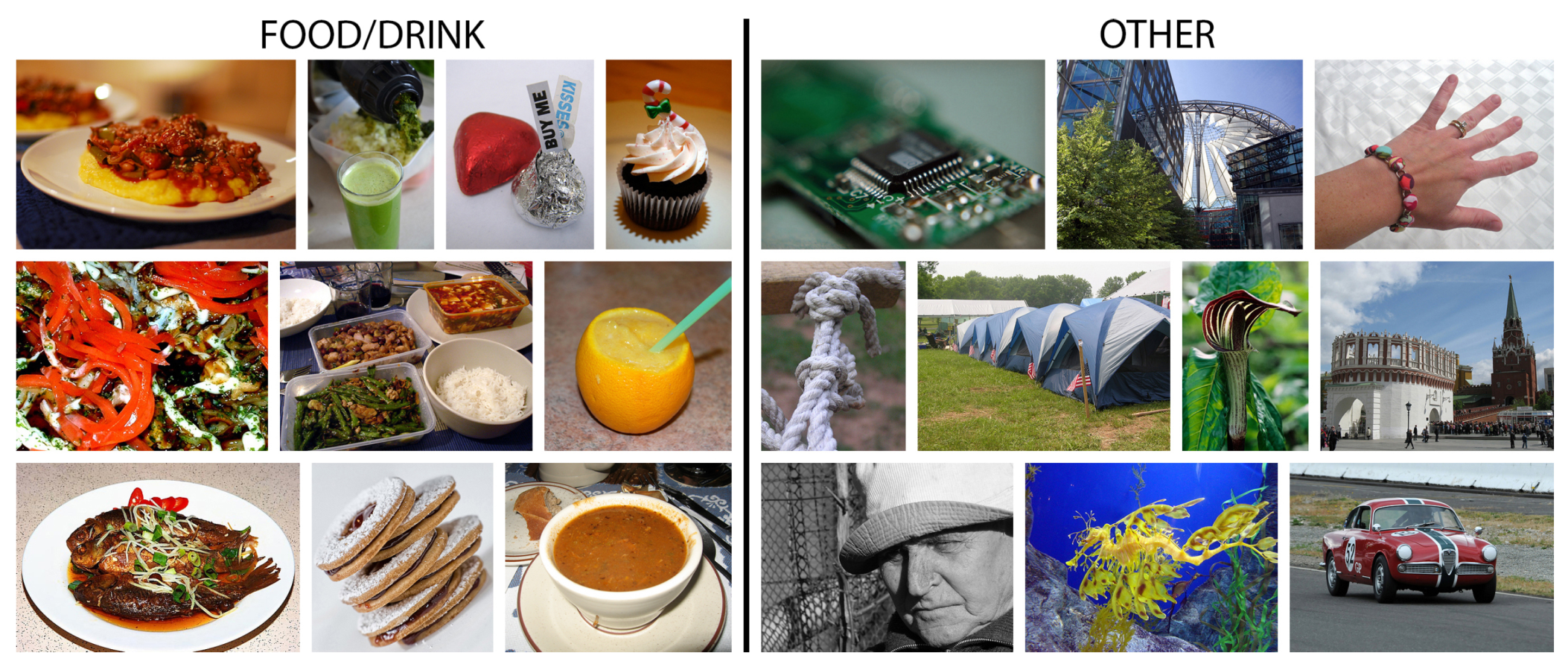 Nutrients 09 00657 g002