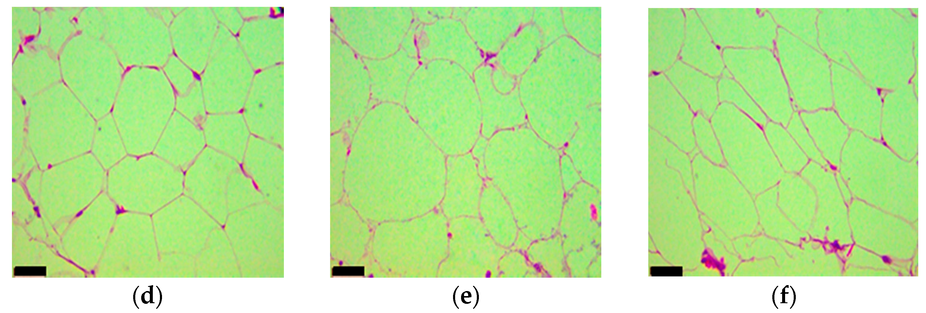 Nutrients 09 00675 g006b
