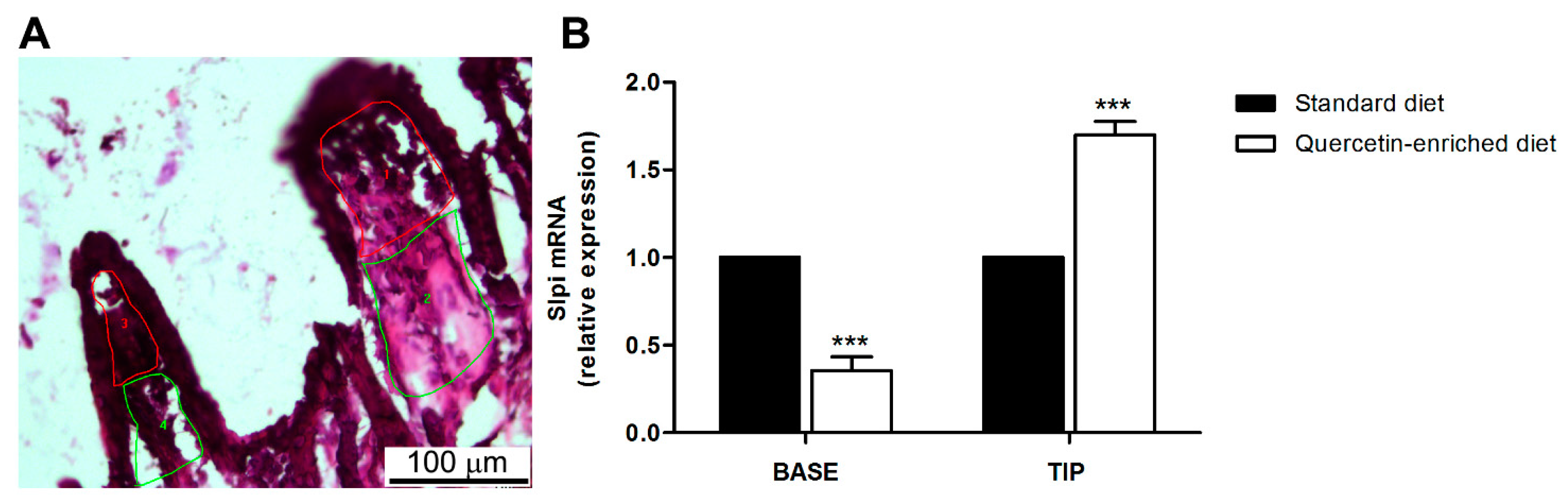 Nutrients 09 00706 g005