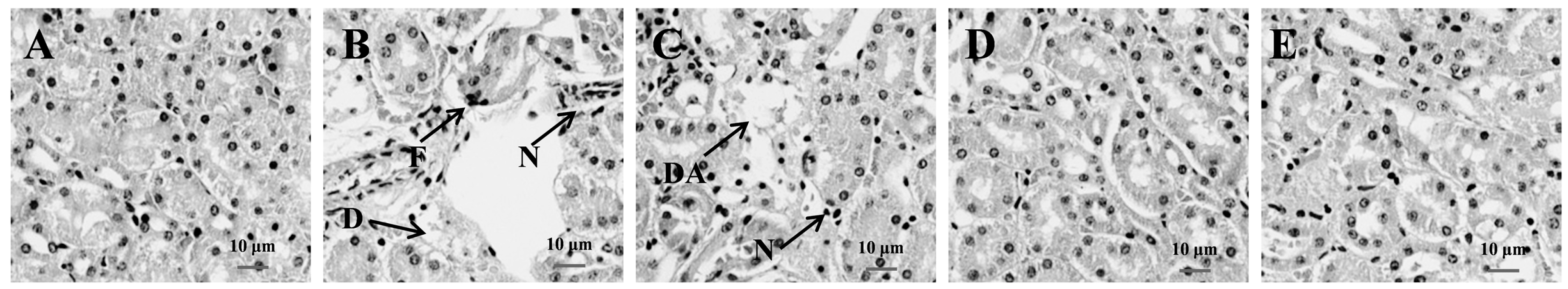 Nutrients 09 00708 g003