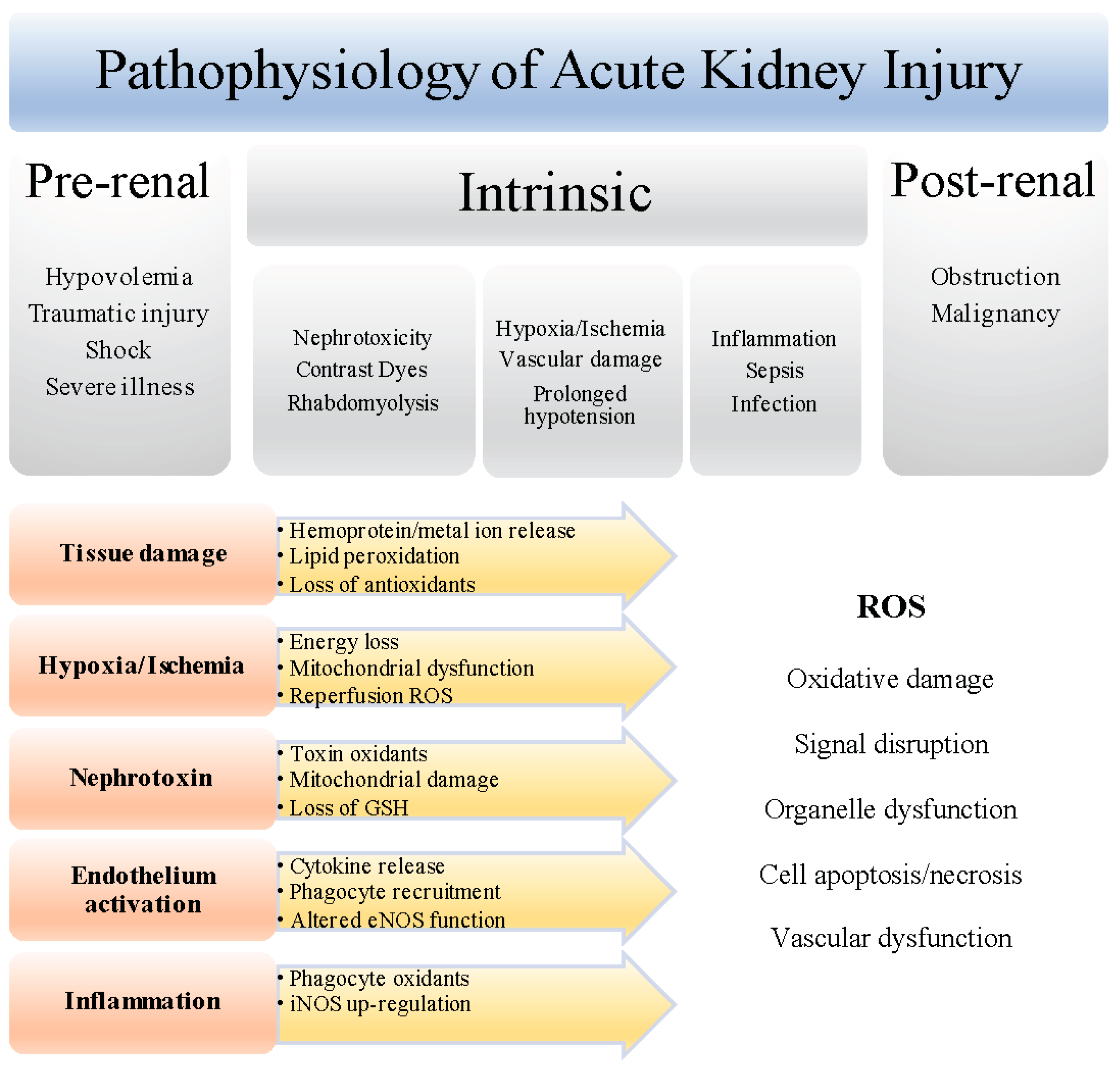 Nutrients 09 00718 g001