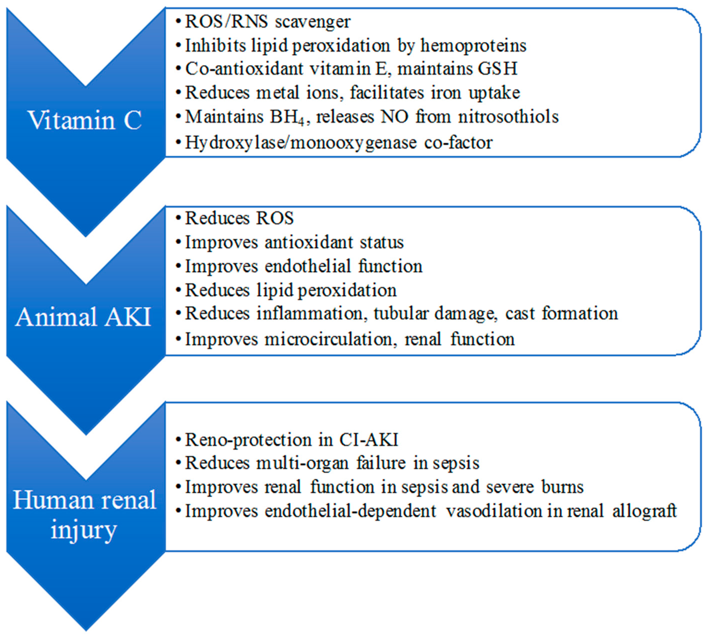 Nutrients 09 00718 g002