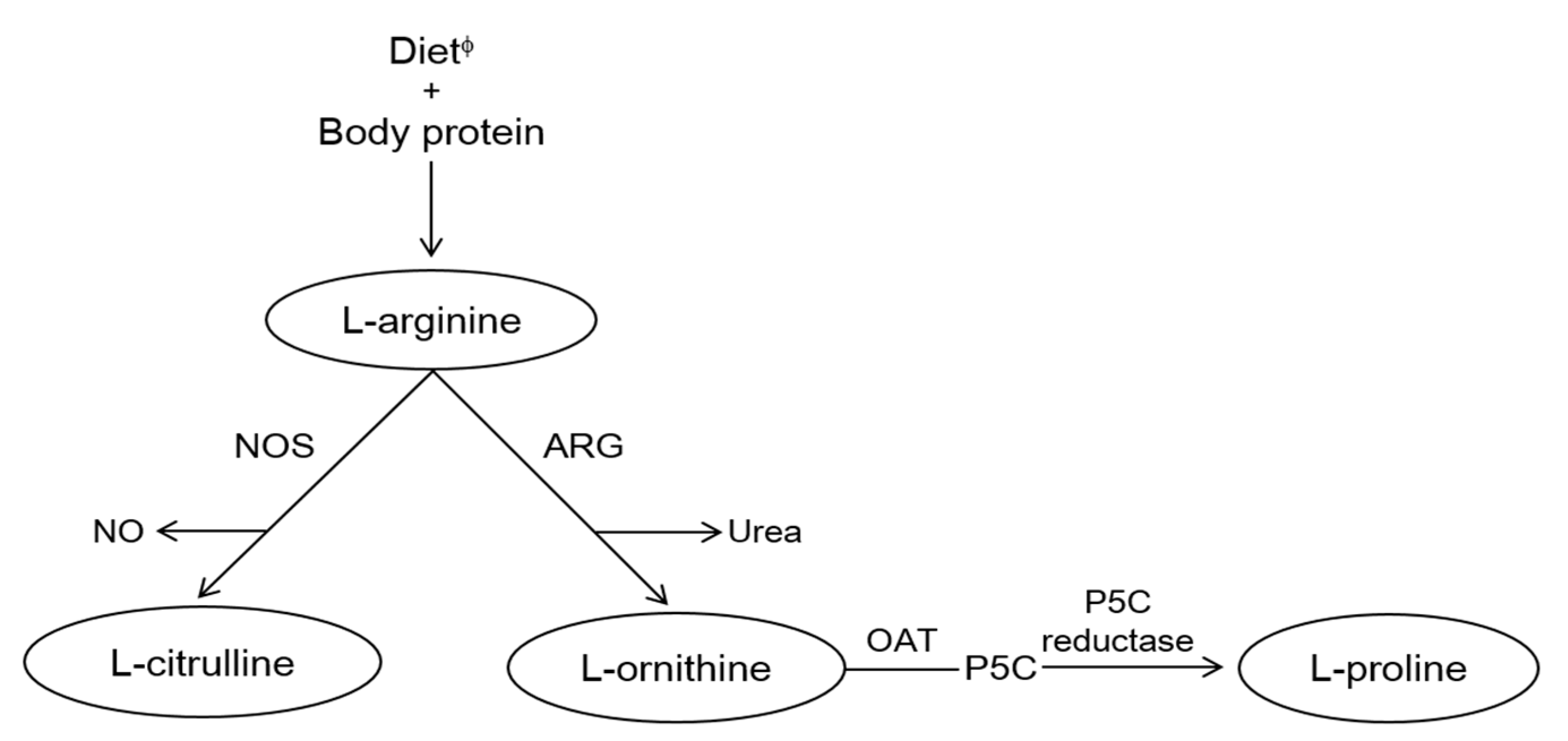 Nutrients 09 00740 g001