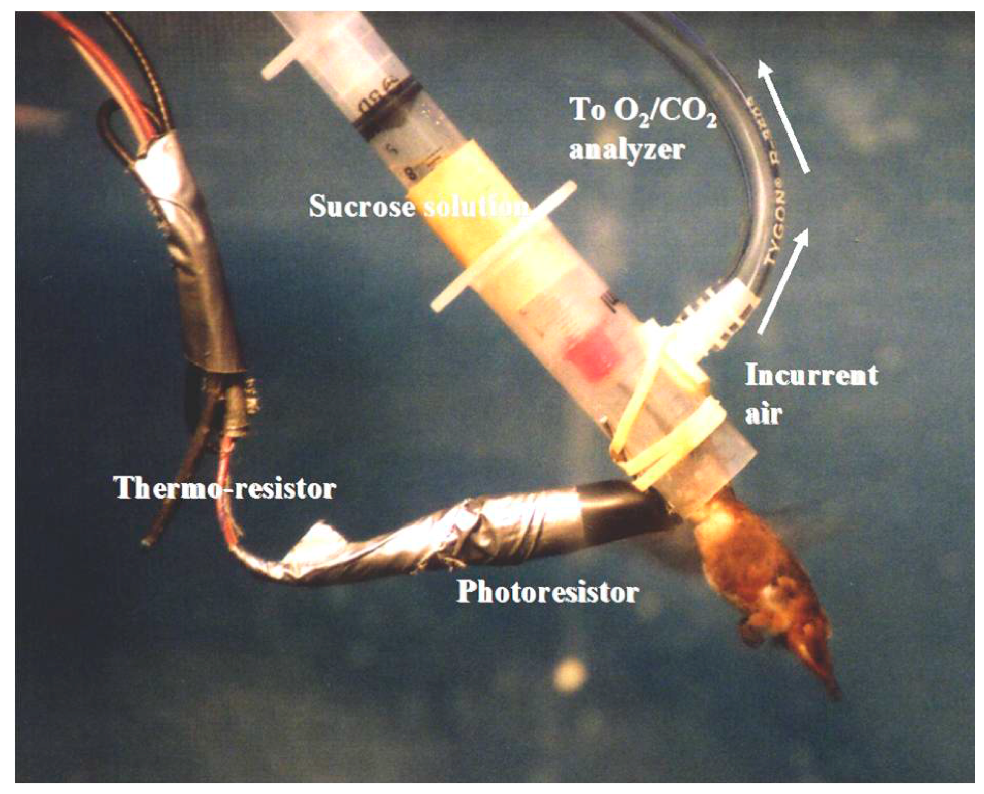 Nutrients 09 00743 g002 Nutrients 09 00743 g002