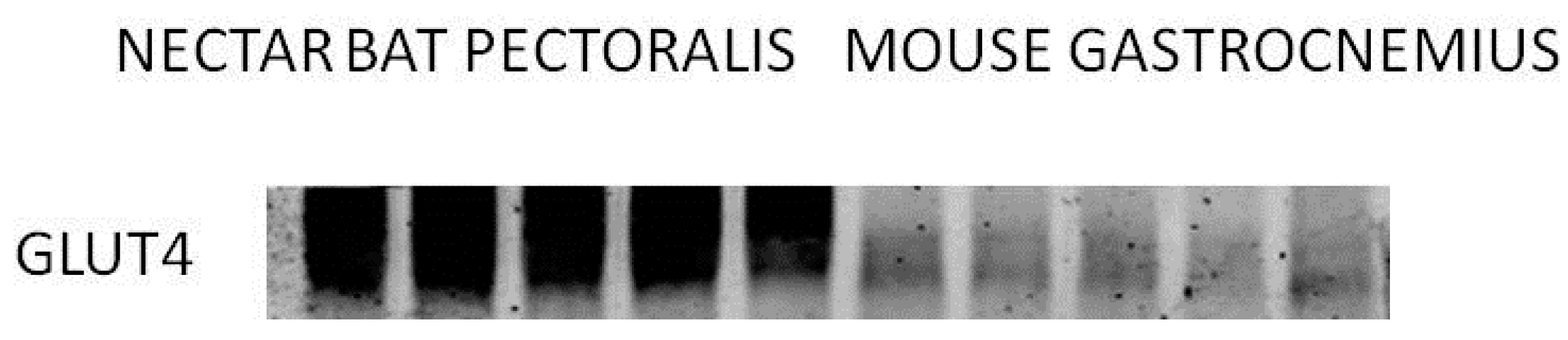 Nutrients 09 00743 g005 Nutrients 09 00743 g005