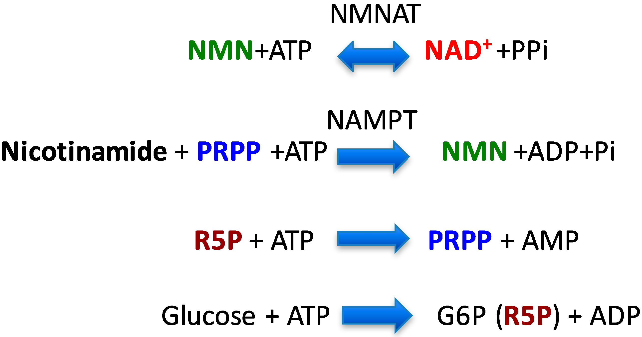 Nutrients 09 00751 g002