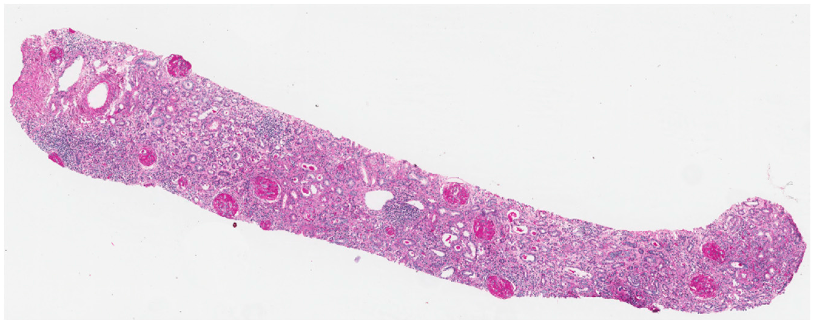 Nutrients 09 00770 g004