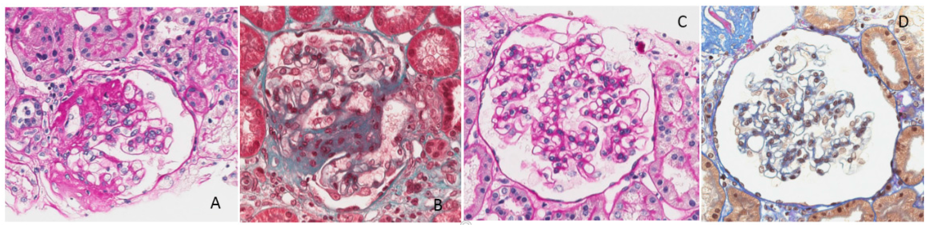 Nutrients 09 00770 g005