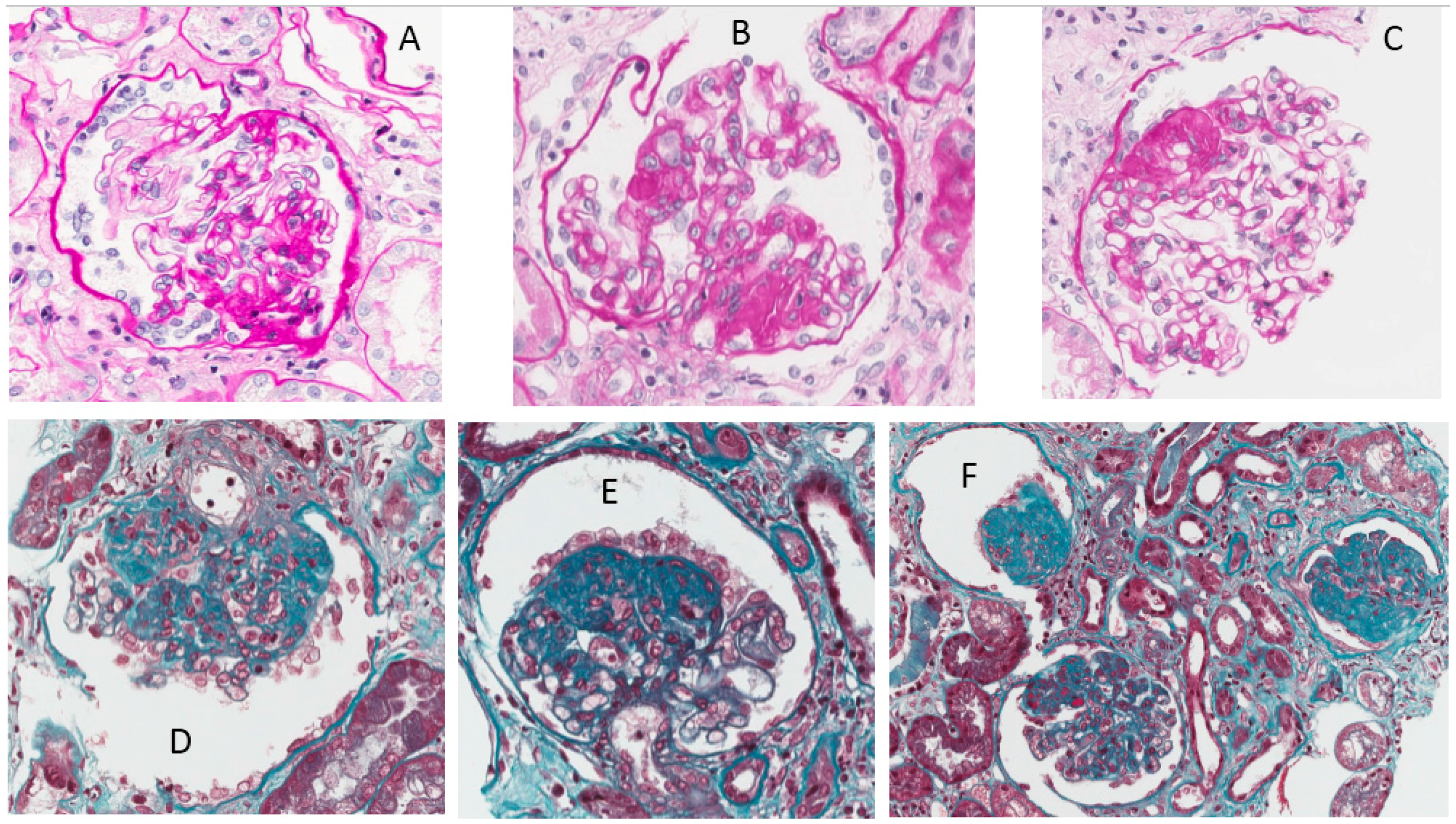 Nutrients 09 00770 g008