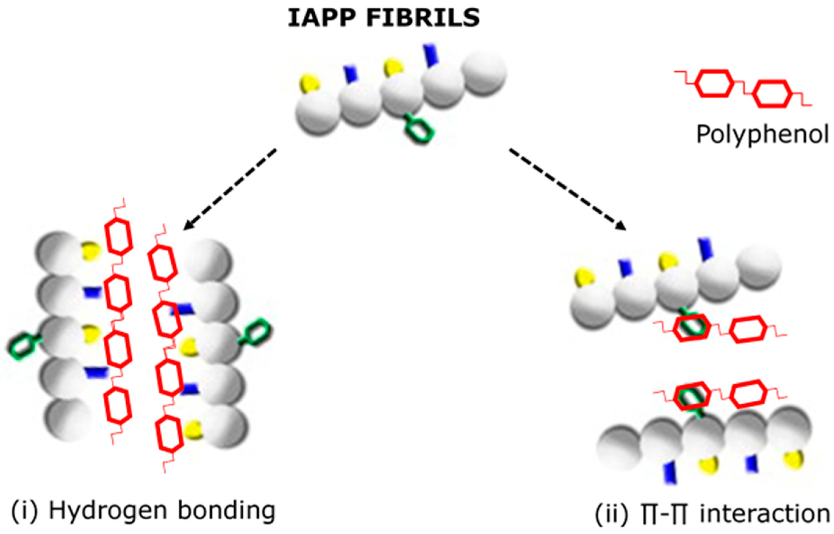 Nutrients 09 00788 g004 Nutrients 09 00788 g004