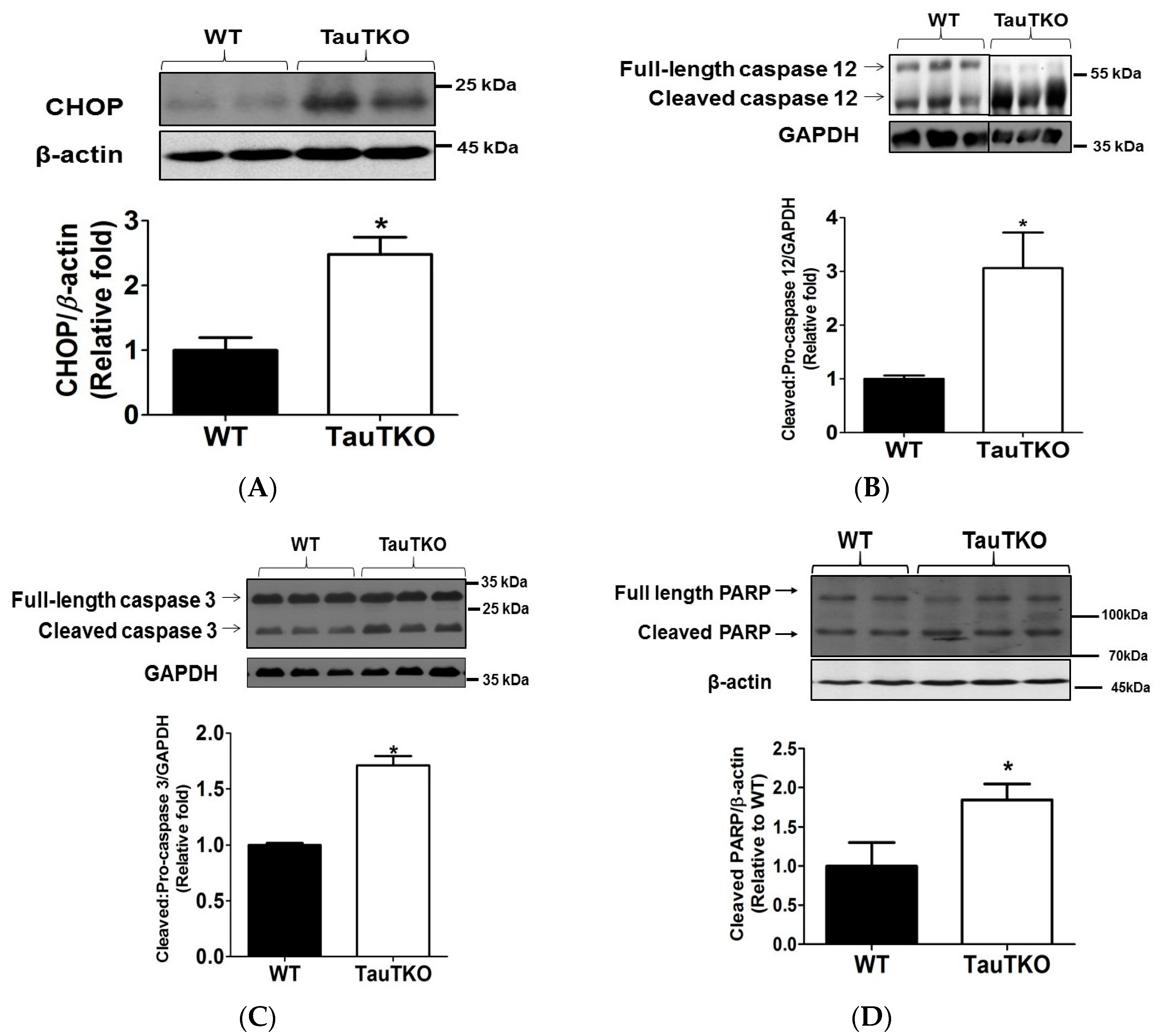 Nutrients 09 00795 g007