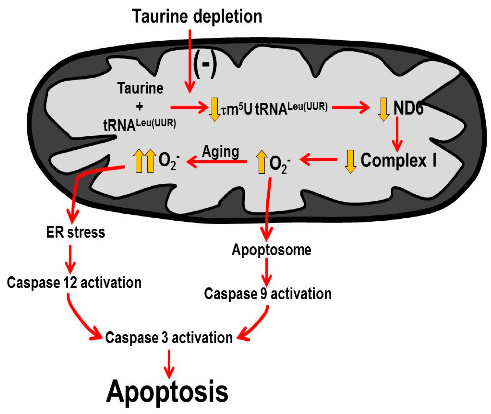 Nutrients 09 00795 g008