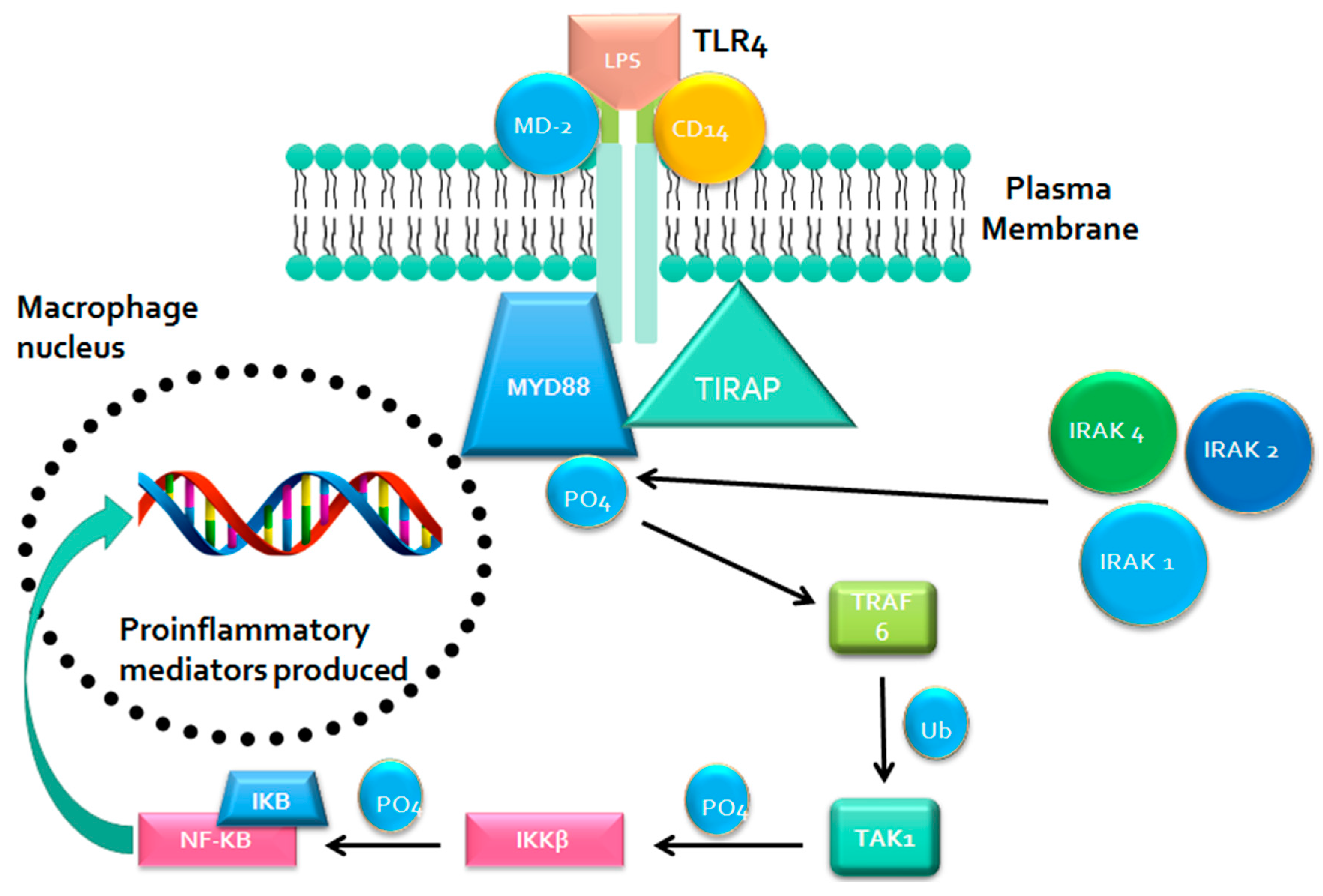 Nutrients 09 00859 g001