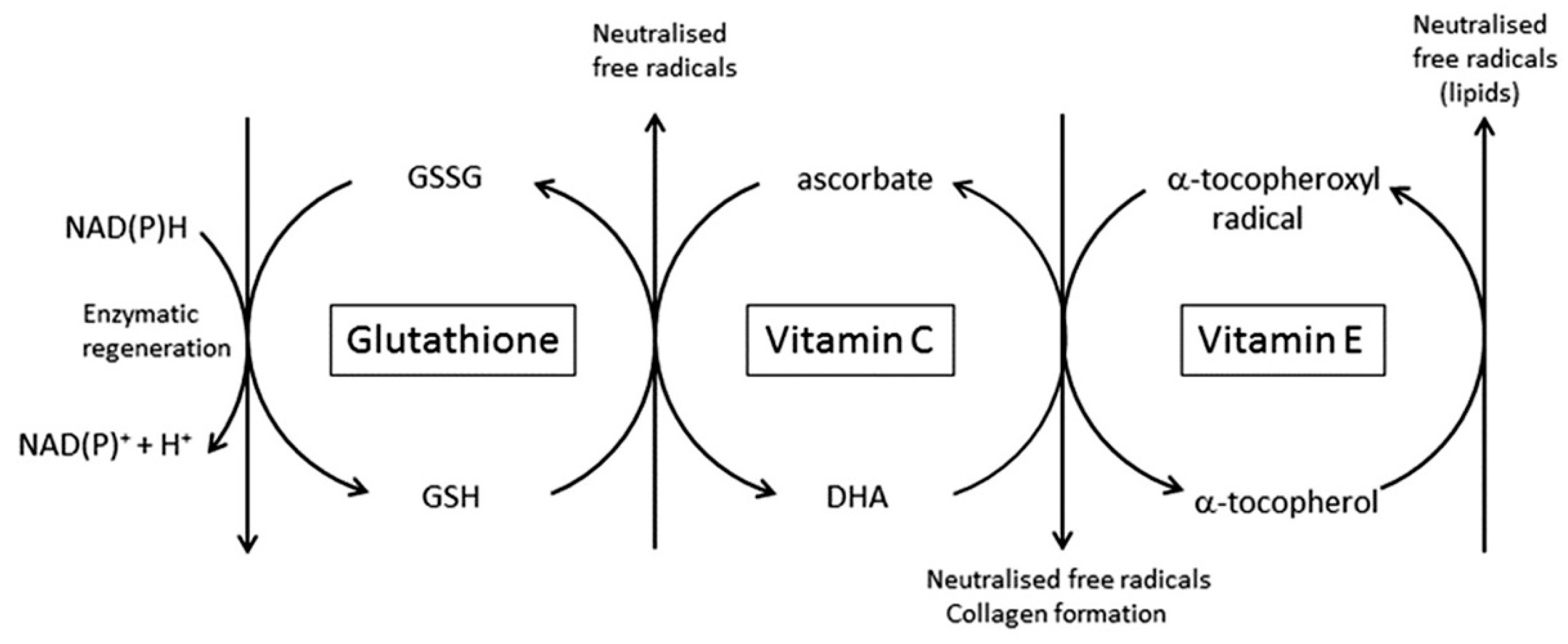Nutrients 09 00866 g004 Nutrients 09 00866 g004