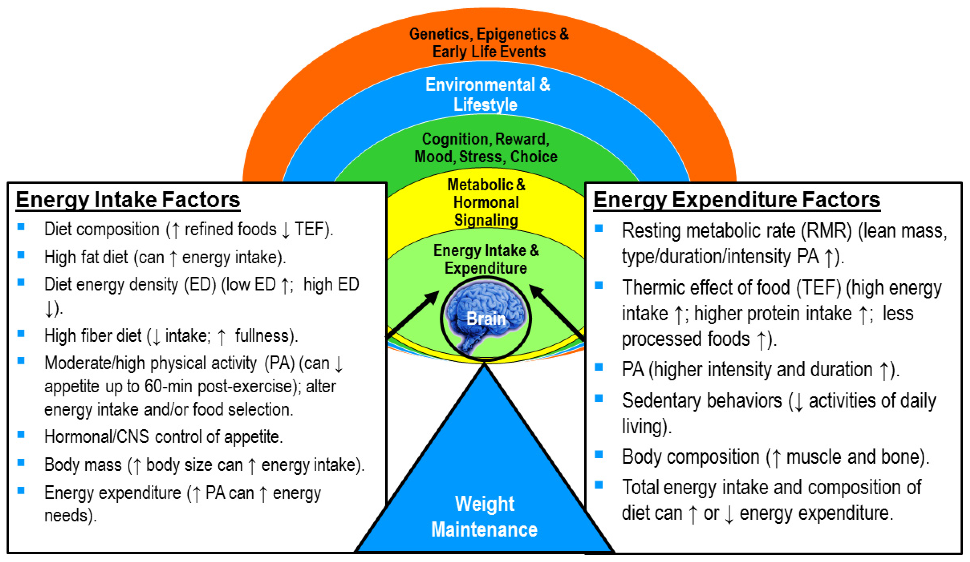 Nutrients 09 00905 g002 Nutrients 09 00905 g002