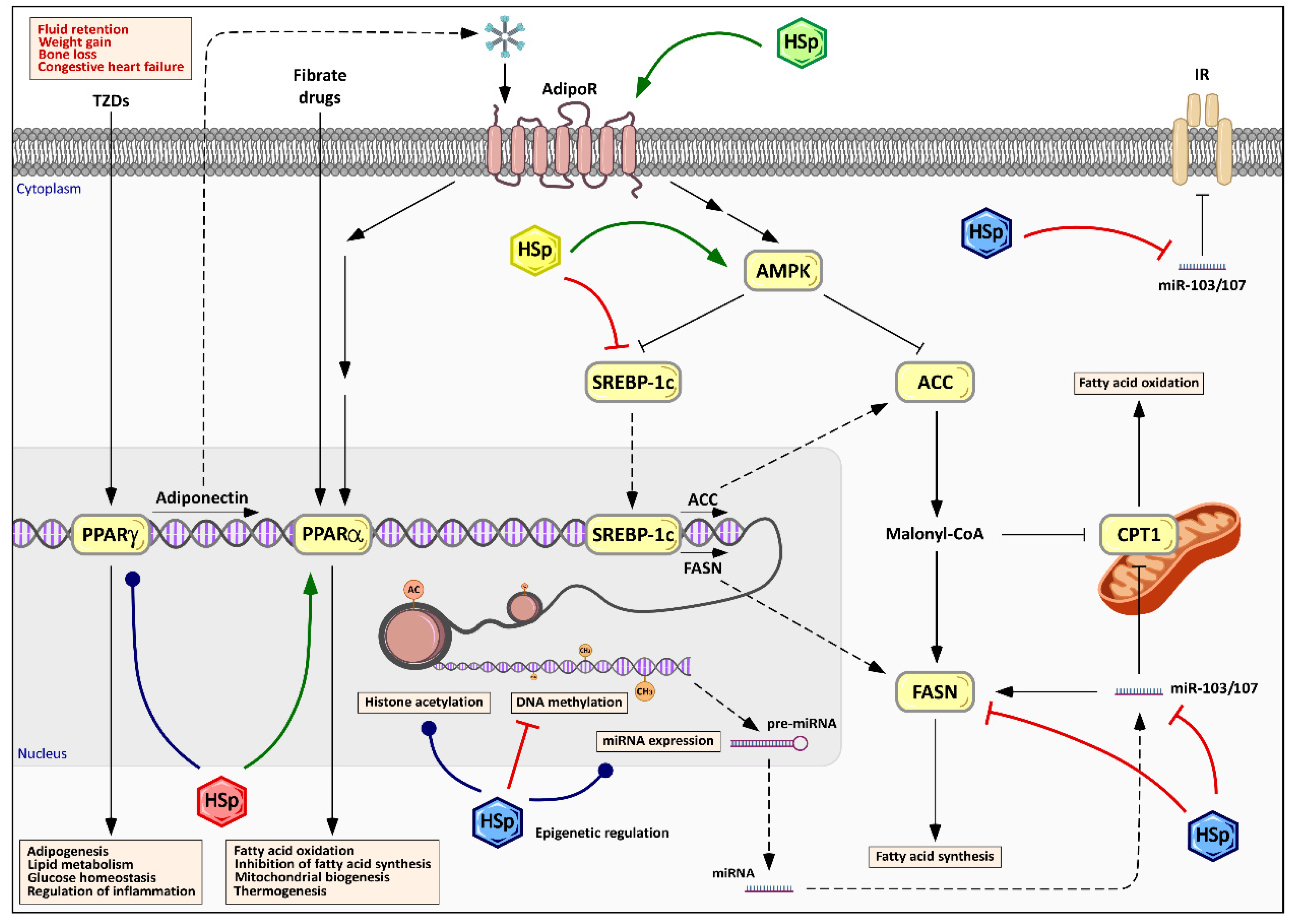 Nutrients 09 00907 g005