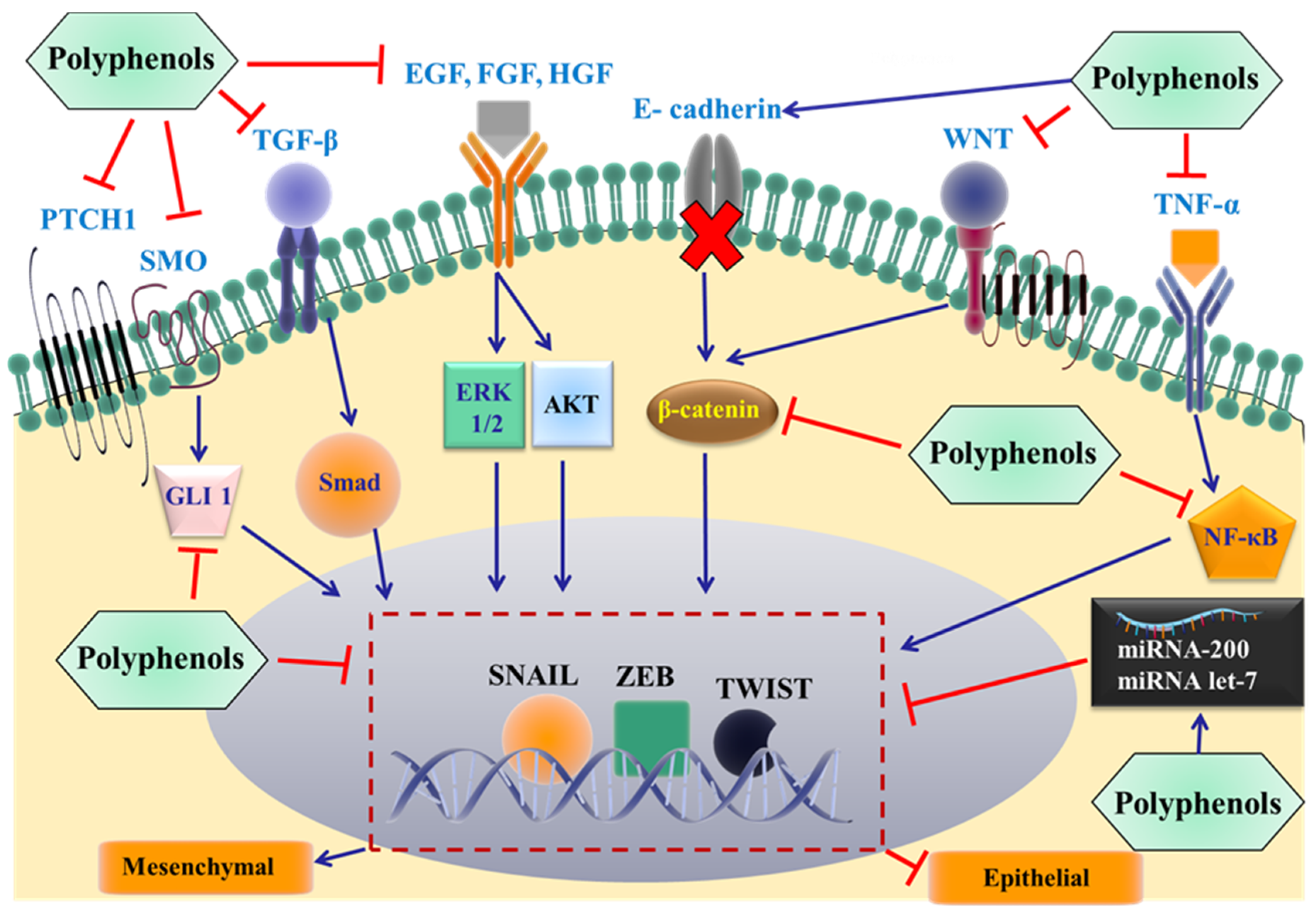 Nutrients 09 00911 g003 Nutrients 09 00911 g003