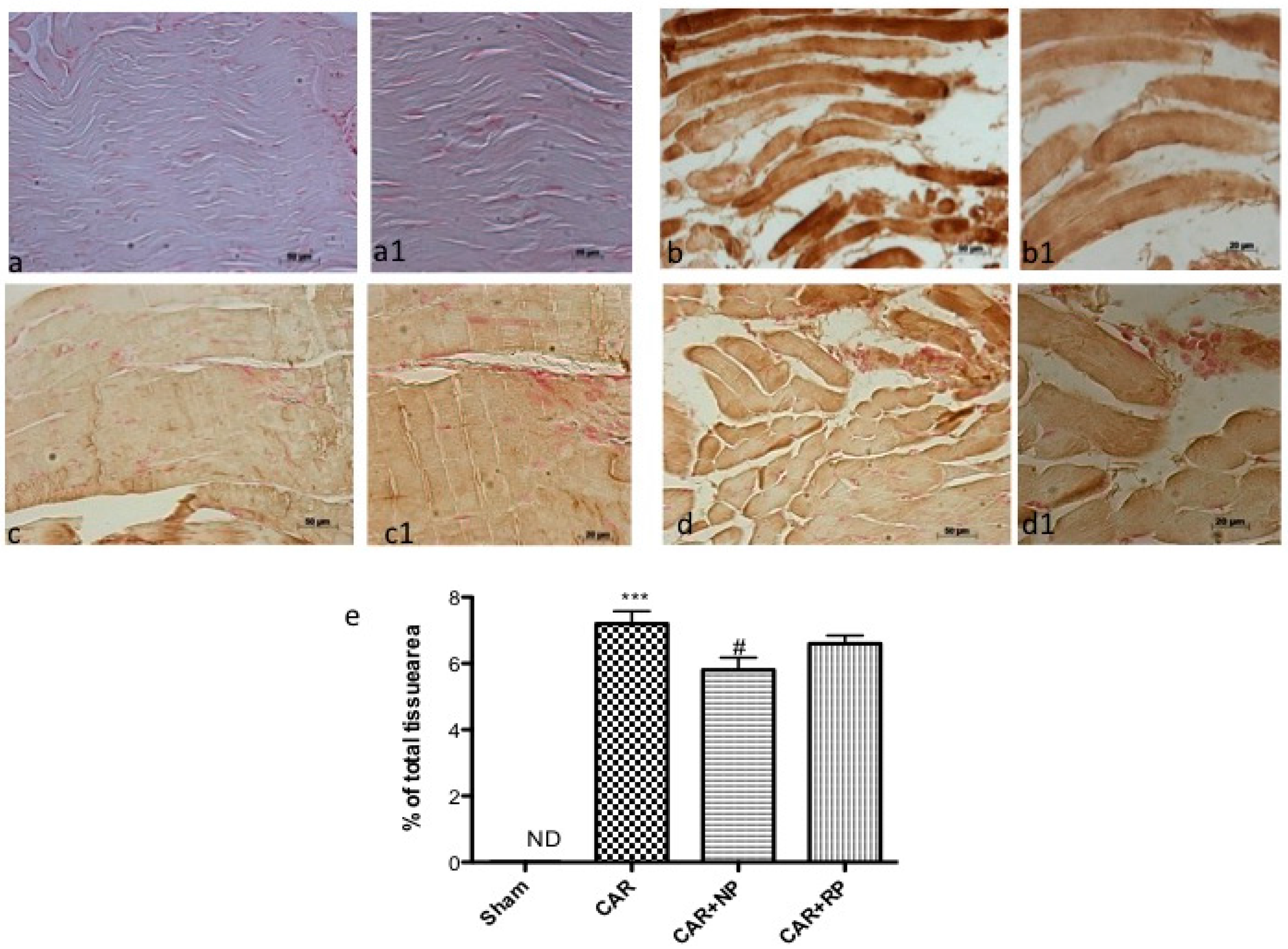Nutrients 09 00915 g007