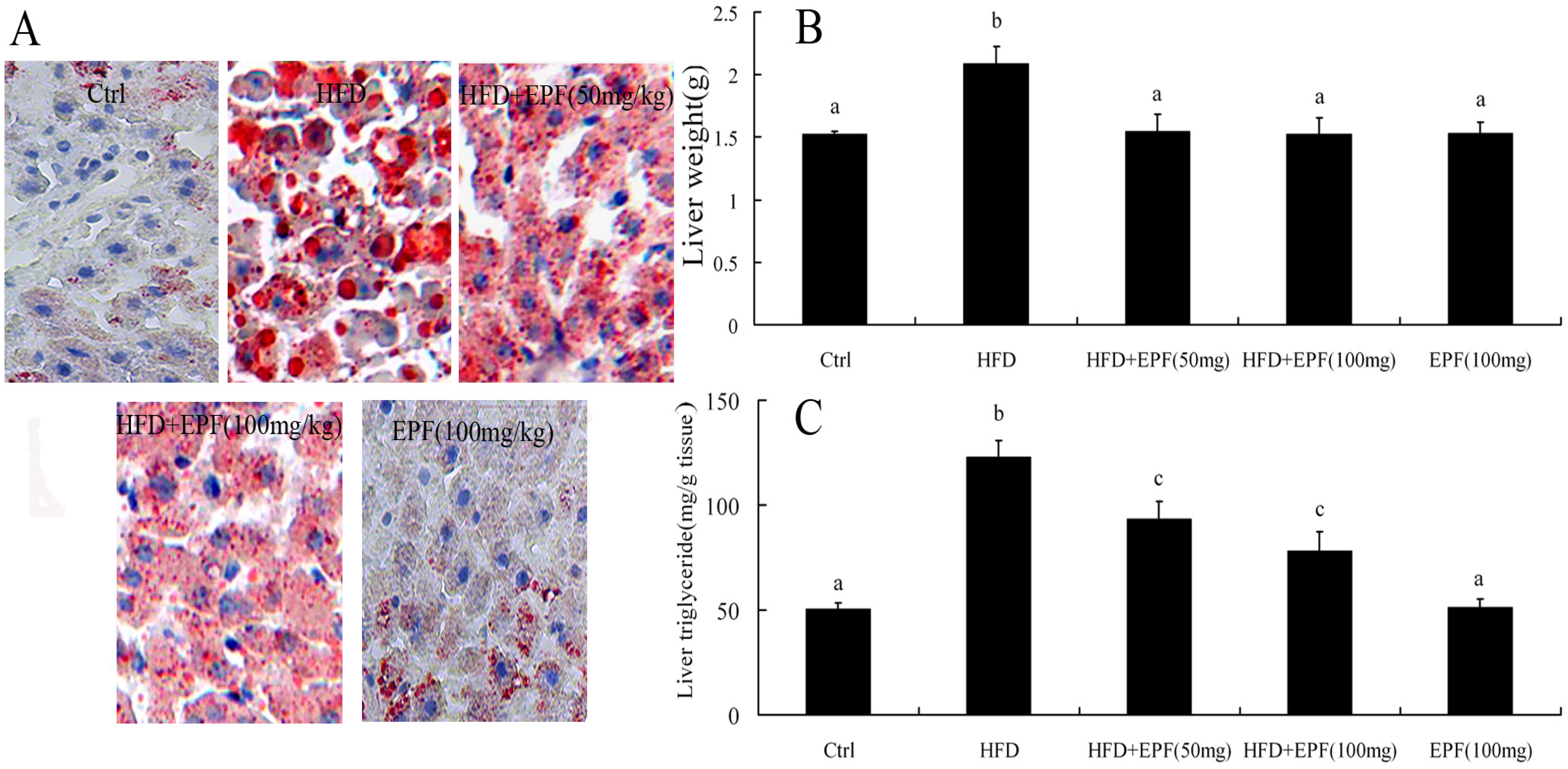 Nutrients 09 00959 g001