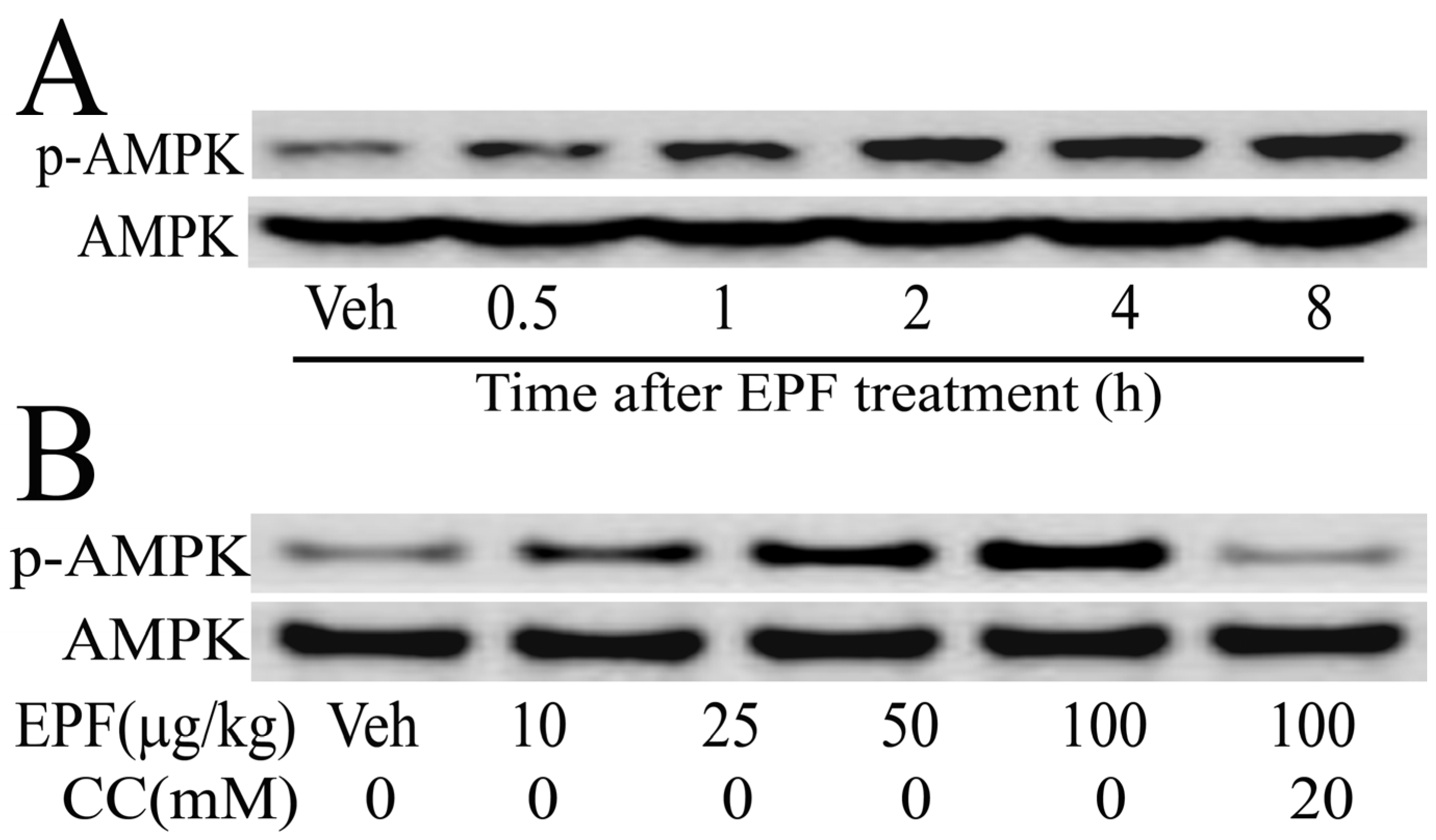 Nutrients 09 00959 g003